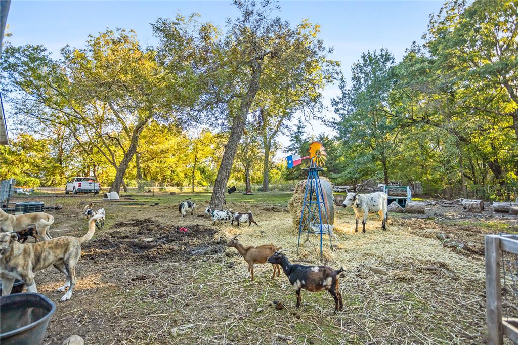 1641 Ben Davis Road Garland, TX 75040 - Photo 24 of 38 a view of a yard with a tree