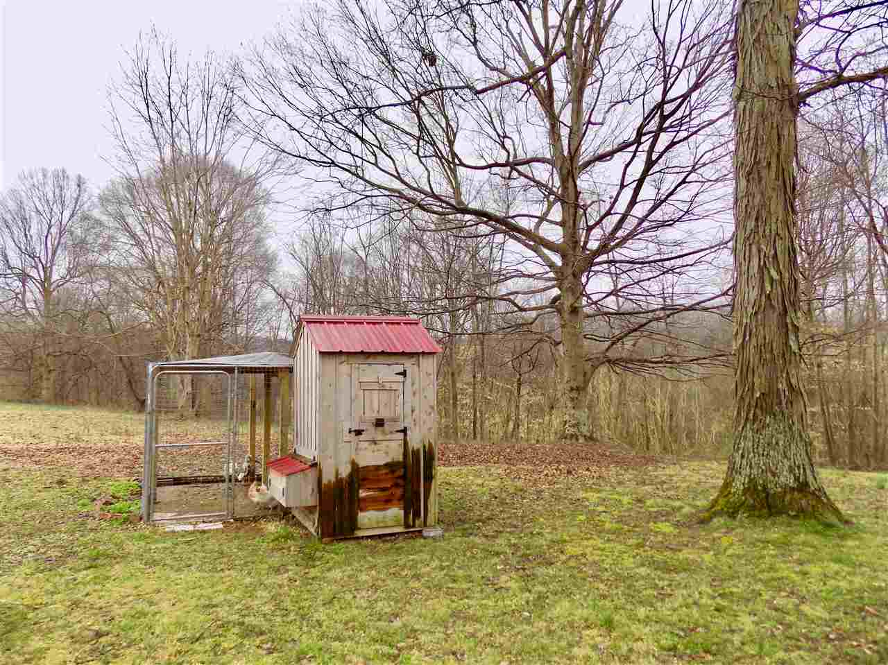 267 Blunt Ford Road Adolphus, KY 42120 - Photo 12 of 18 Gallery Image 12