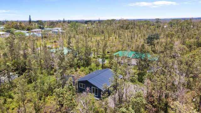 a view of a house with a yard plants and large tree
