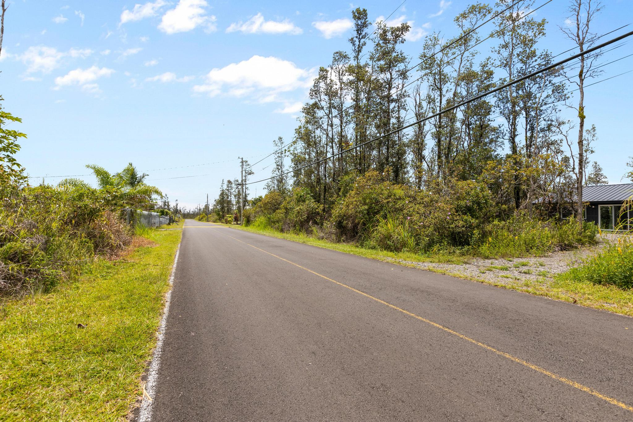 16-2075 Treefern Drive Pahoa, HI 96778 - Photo 22 of 24 a view of a road with a yard