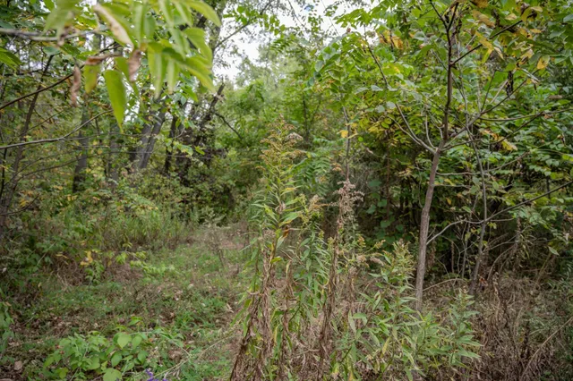 $18,900 | .53-acres Prospect Avenue, Mauston, WI 53948