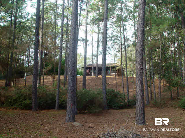 16981 Ferry Road Fairhope, AL 36532 - Photo 3 of 32 View from lower land