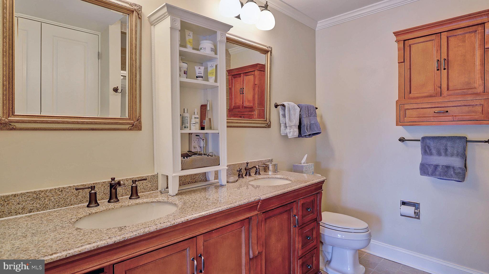11210 Lagoon Lane Reston, VA 20191 - Photo 36 of 63 Master bath