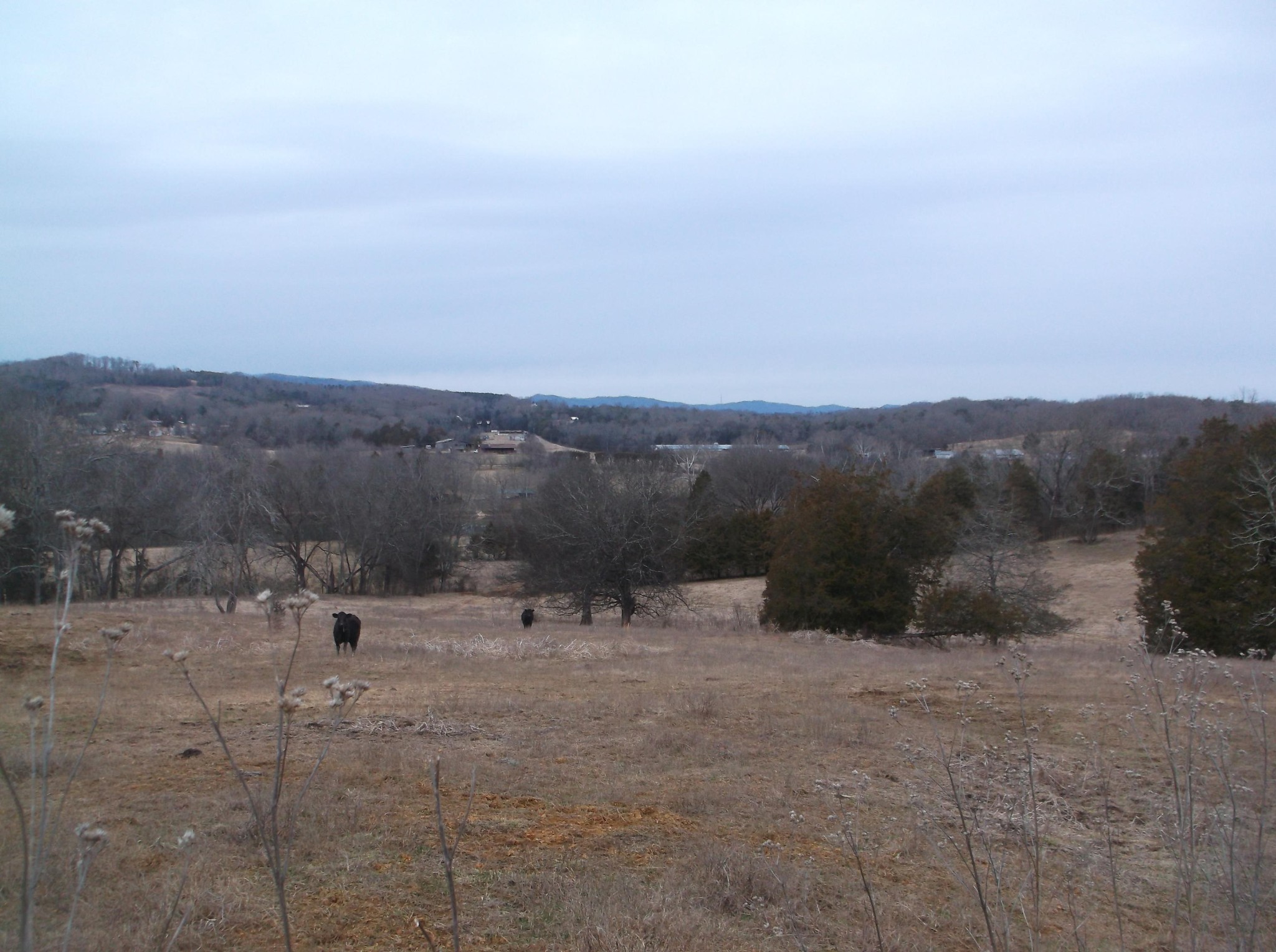 0 Duignan Road Strawberry Plains, TN 37871 - Photo 1 of 10 Gallery Image 1