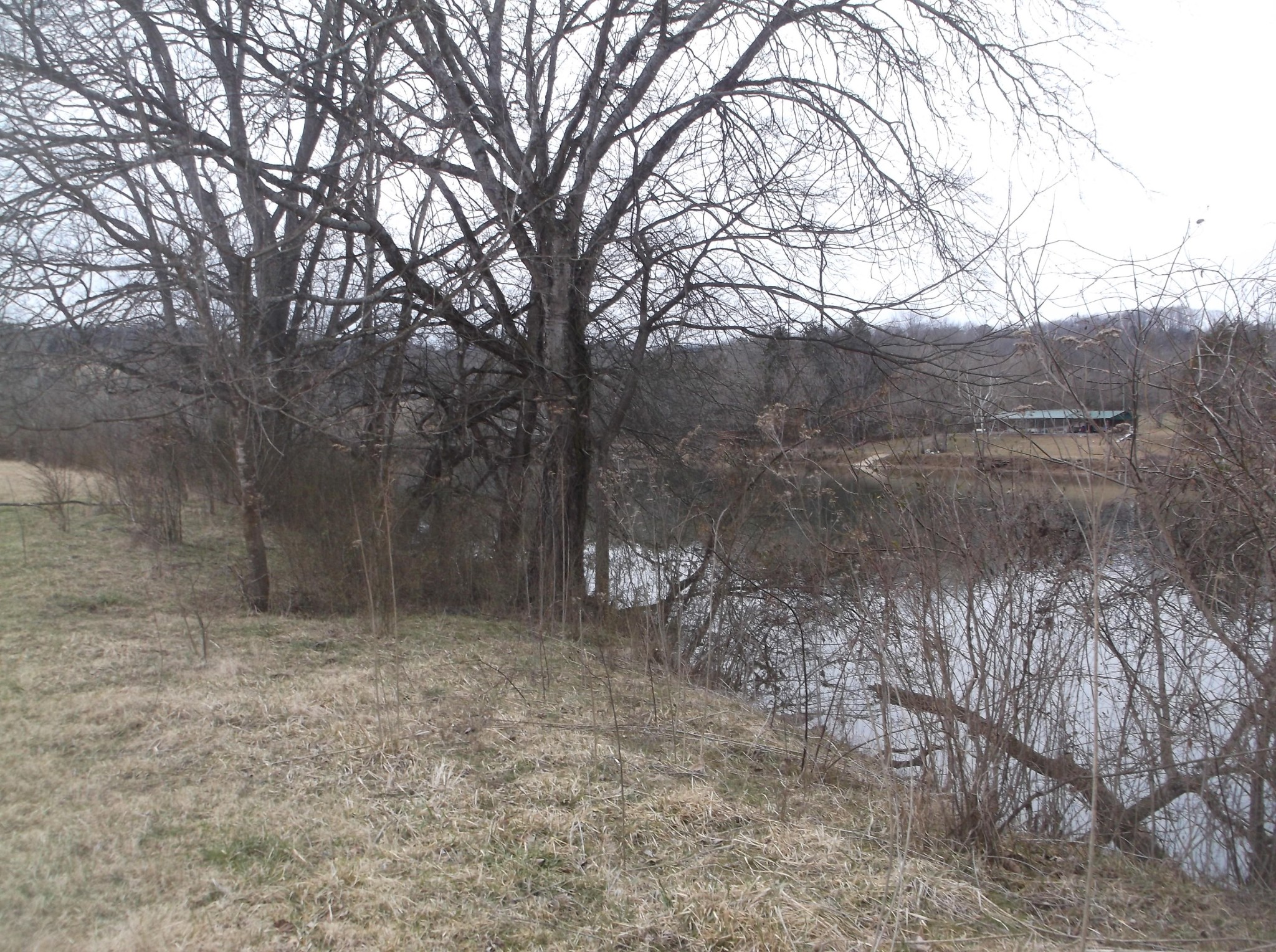 0 Duignan Road Strawberry Plains, TN 37871 - Photo 3 of 10 Gallery Image 3