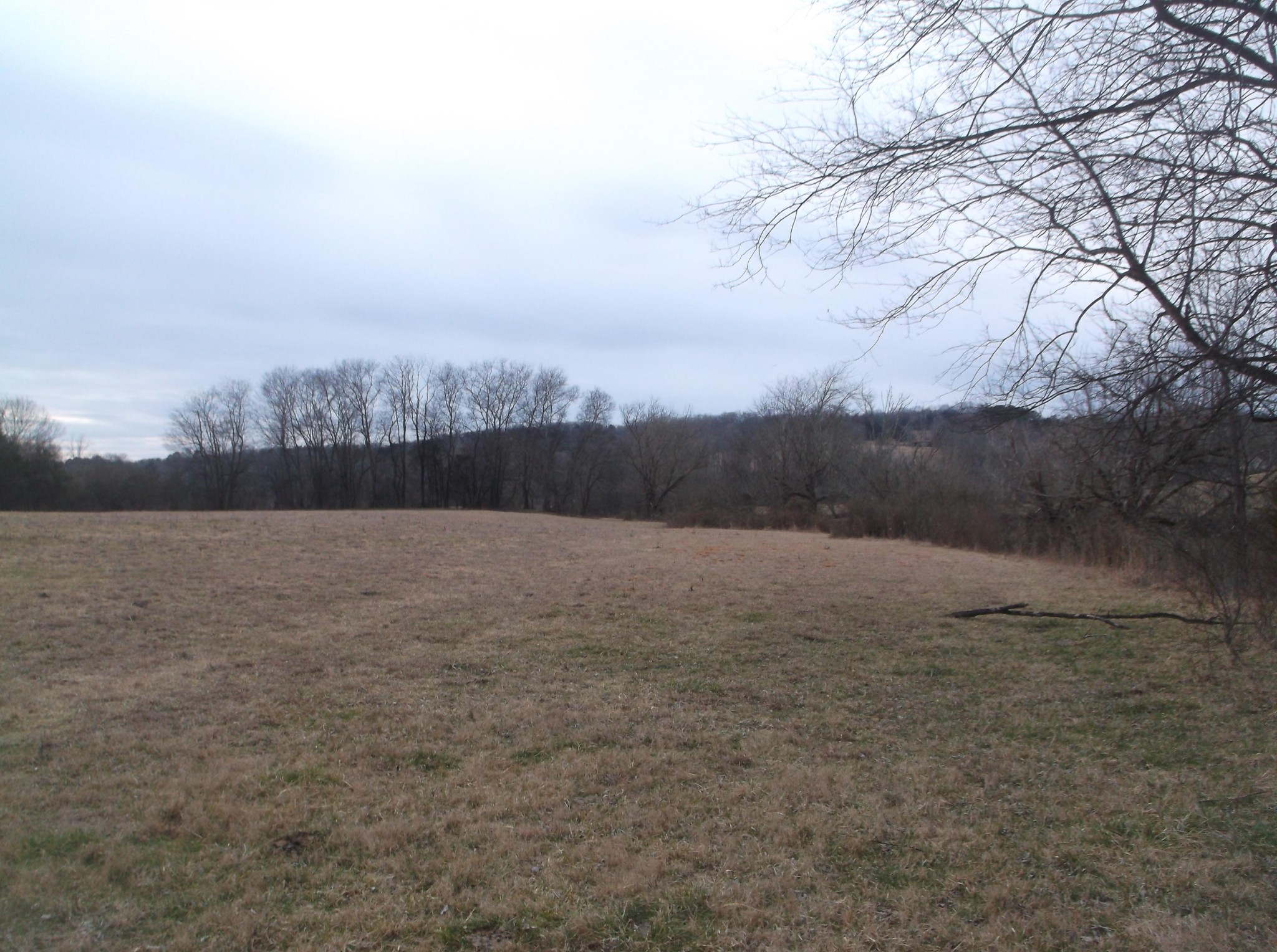 0 Duignan Road Strawberry Plains, TN 37871 - Photo 4 of 10 Gallery Image 4