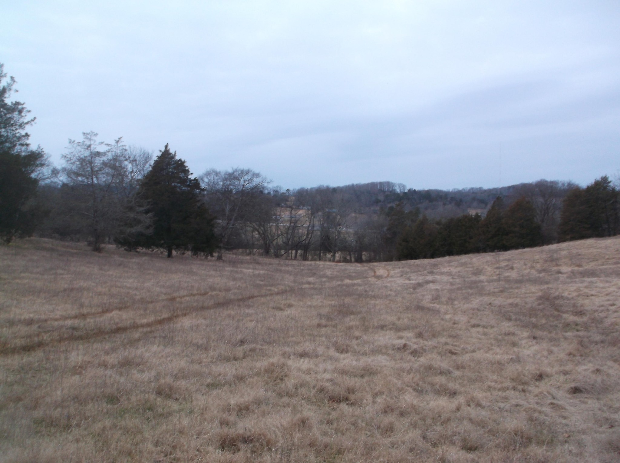 0 Duignan Road Strawberry Plains, TN 37871 - Photo 5 of 10 Gallery Image 5