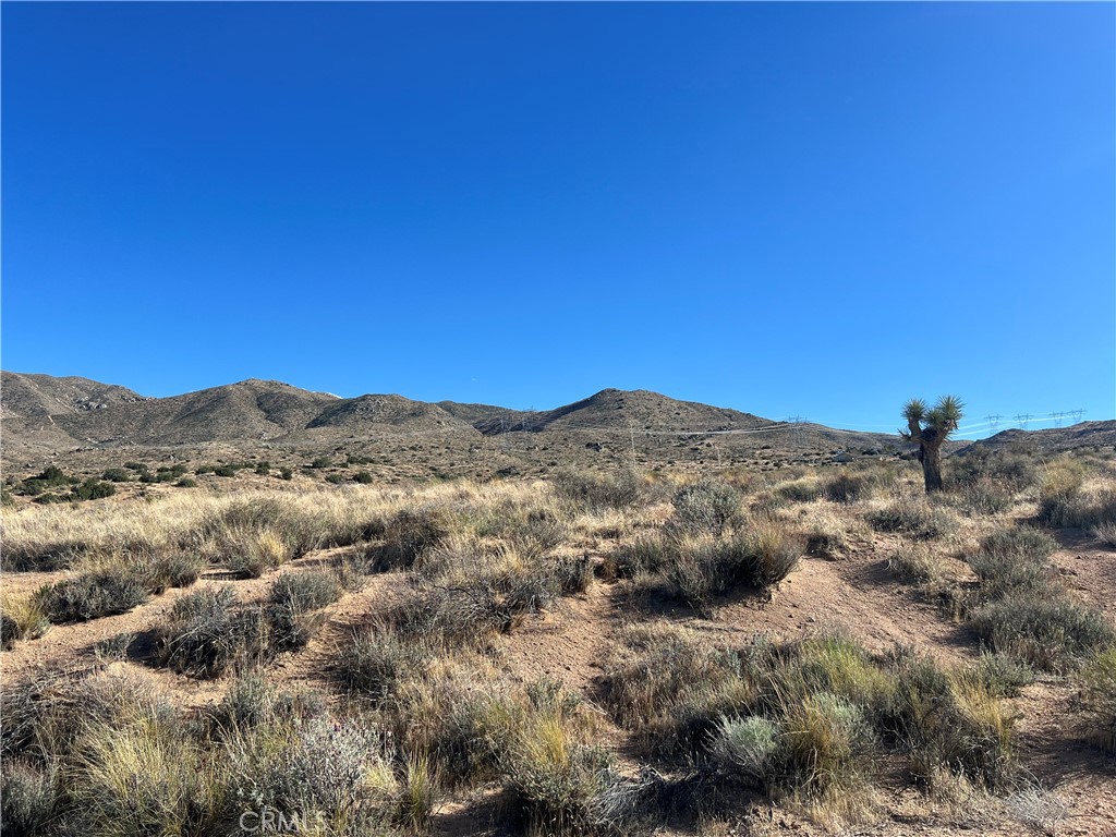 26330 Mountain View Road Apple Valley, CA 92308 - Photo 5 of 6