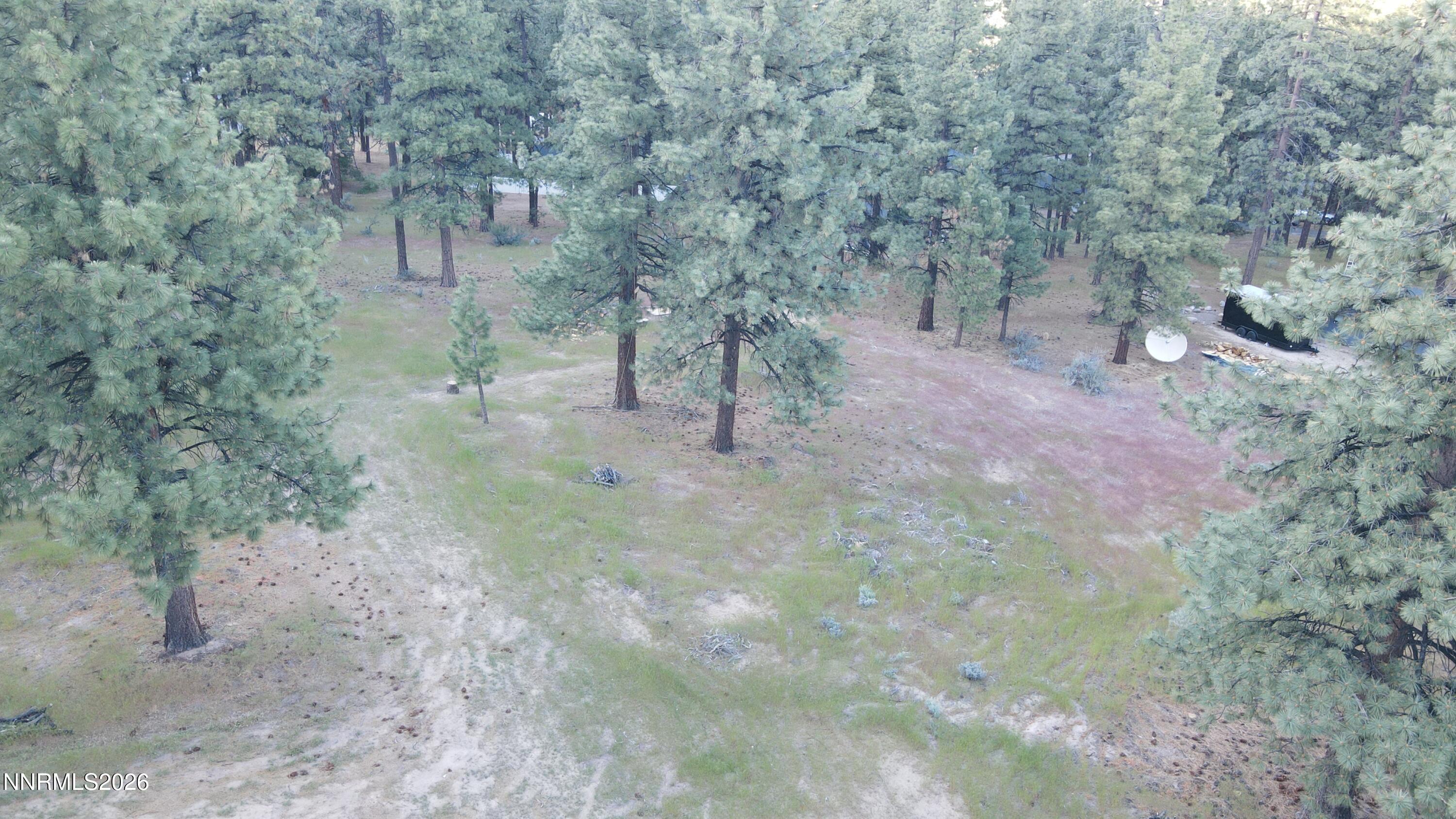 4300 Meadow Wood Road Carson City, NV 89703 - Photo 4 of 15 a view of a forest with trees in the background