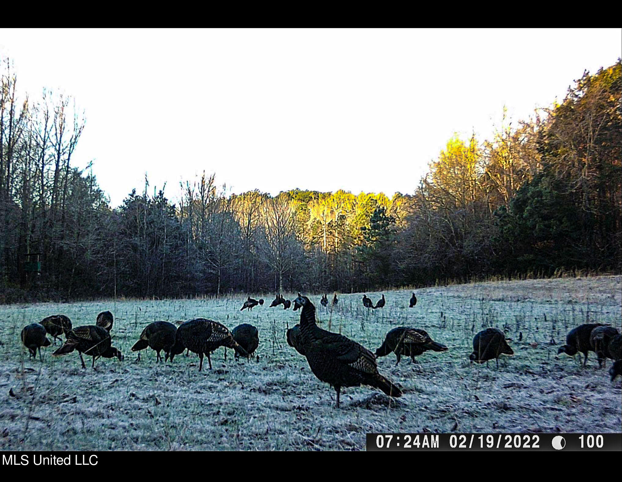 Om Cox Road Potts Camp, MS 38659 - Photo 101 of 111 bentonz61