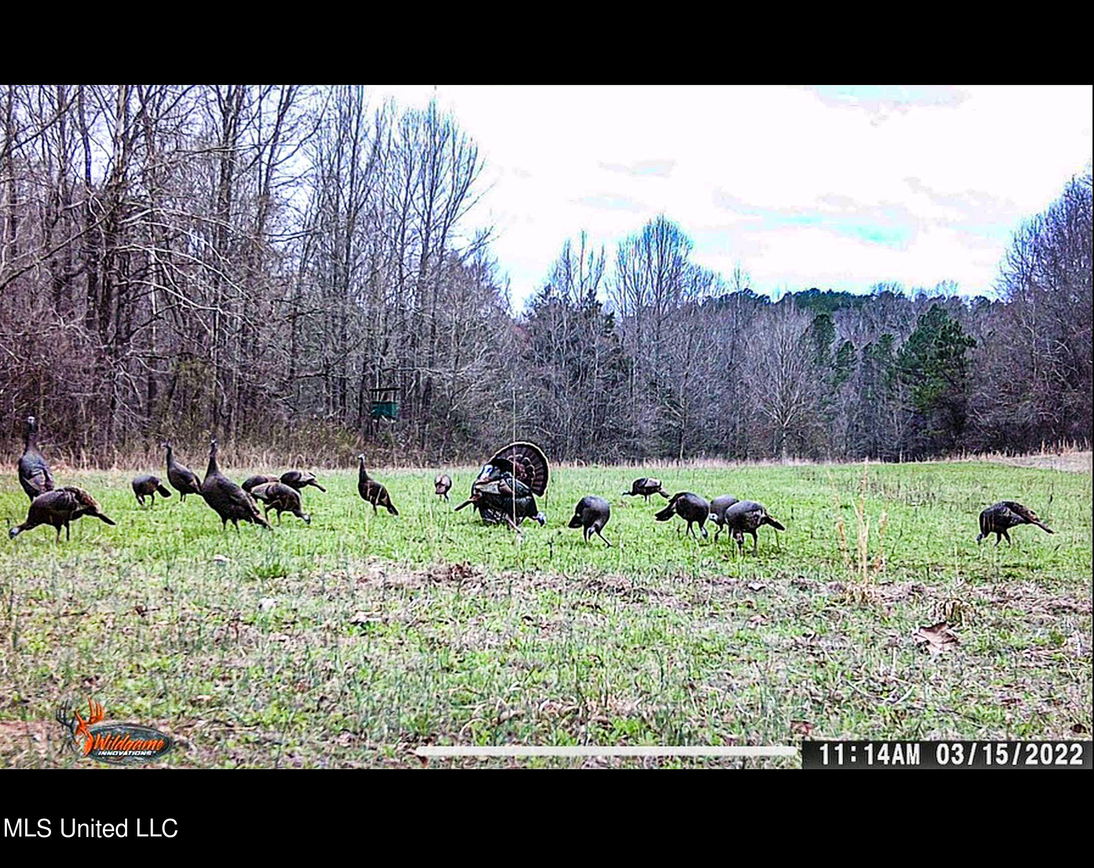 Om Cox Road Potts Camp, MS 38659 - Photo 102 of 111 bentonz67