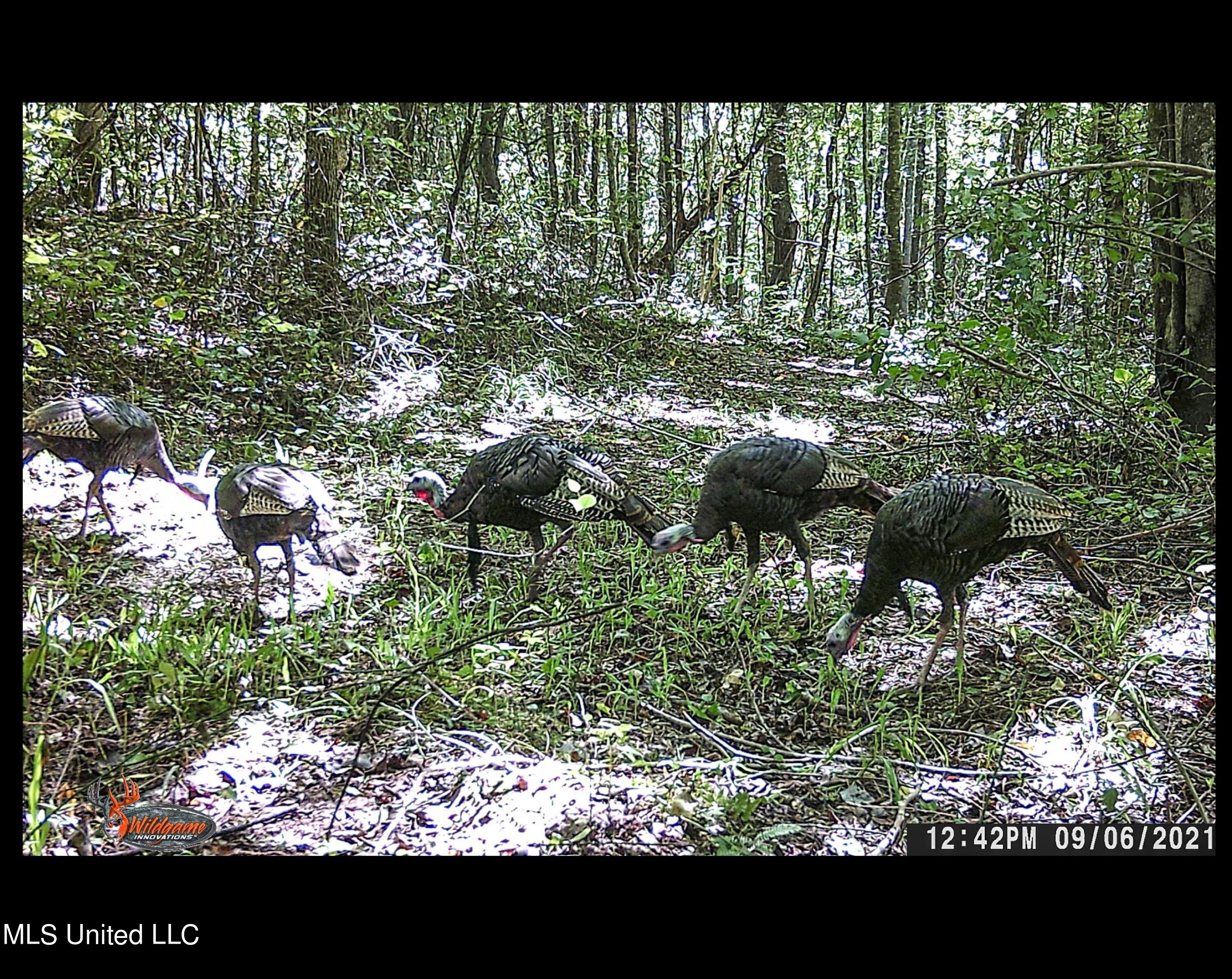 Om Cox Road Potts Camp, MS 38659 - Photo 103 of 111 bentonza11