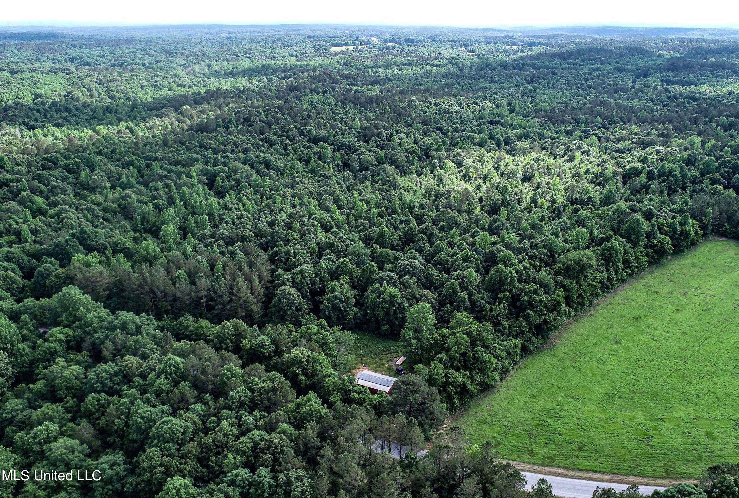 Om Cox Road Potts Camp, MS 38659 - Photo 12 of 111 5bentonz1