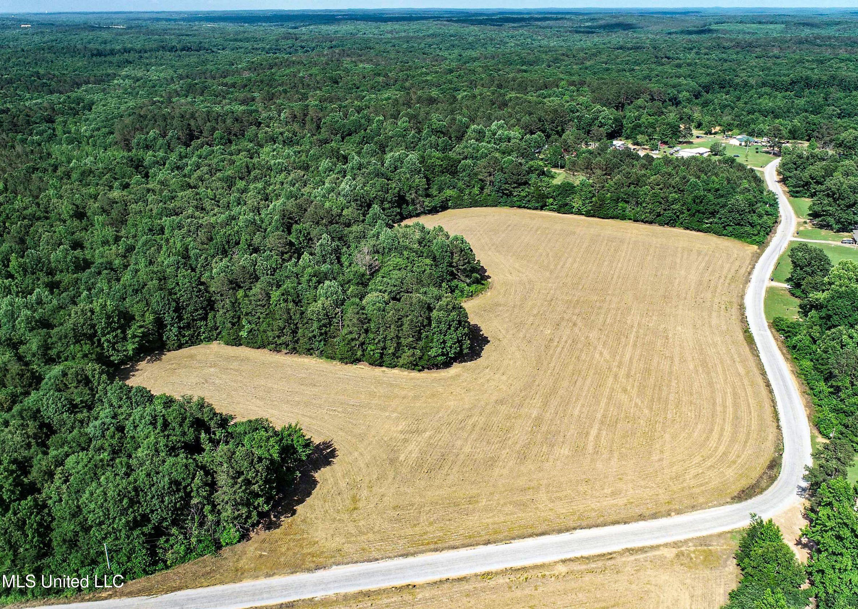 Om Cox Road Potts Camp, MS 38659 - Photo 19 of 111 5bentonz9