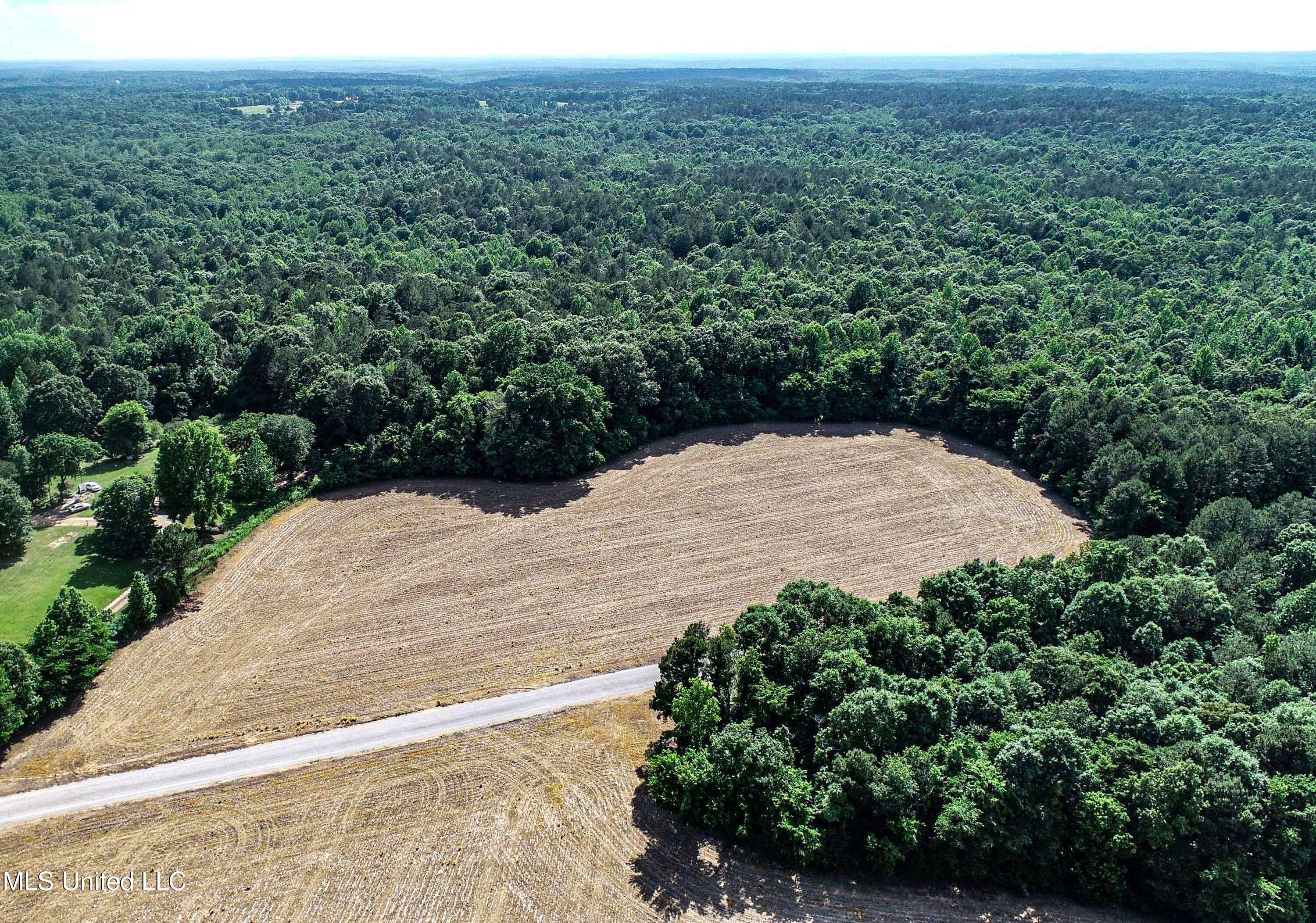 Om Cox Road Potts Camp, MS 38659 - Photo 20 of 111 5bentonz10
