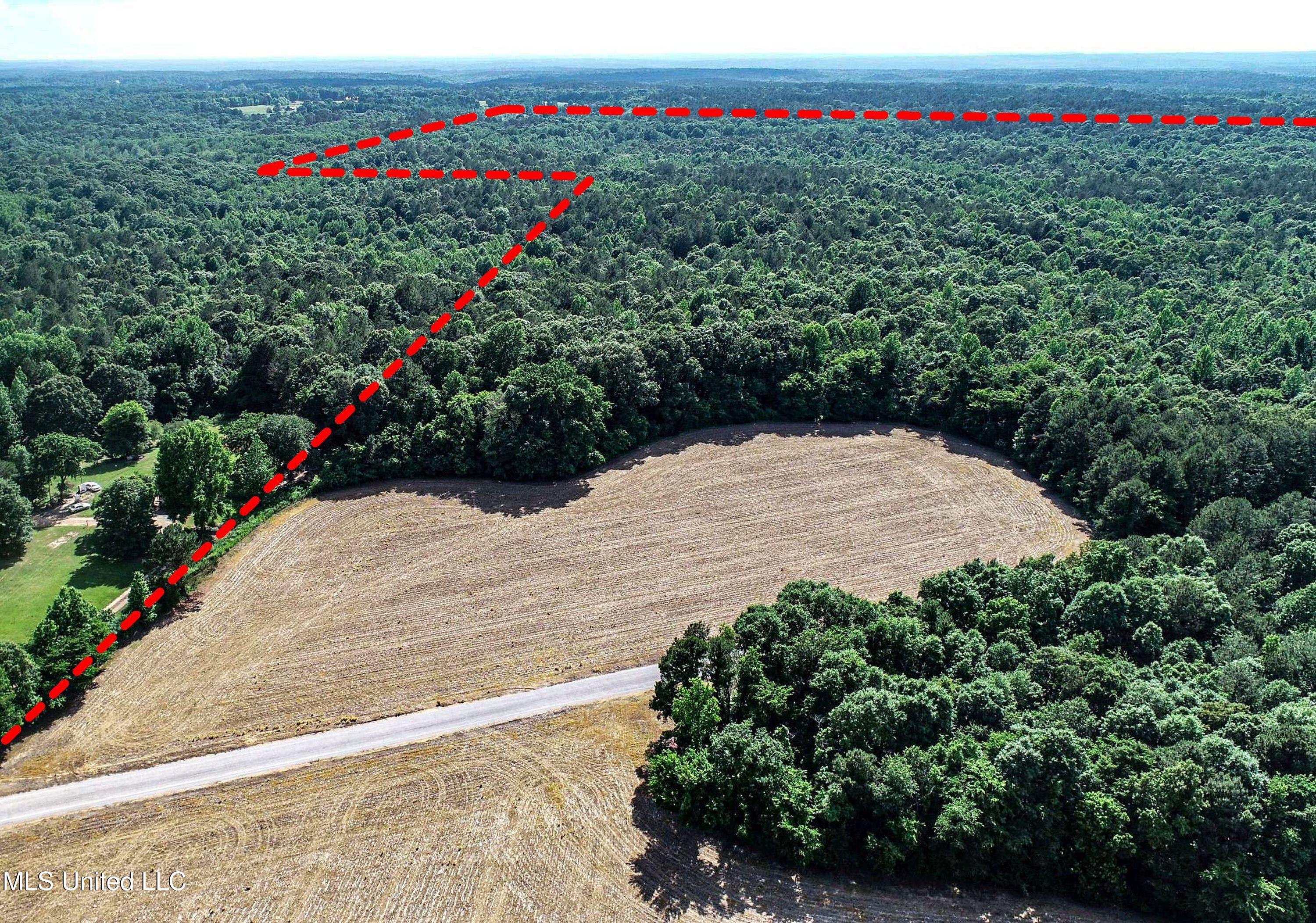 Om Cox Road Potts Camp, MS 38659 - Photo 21 of 111 5bentonz11