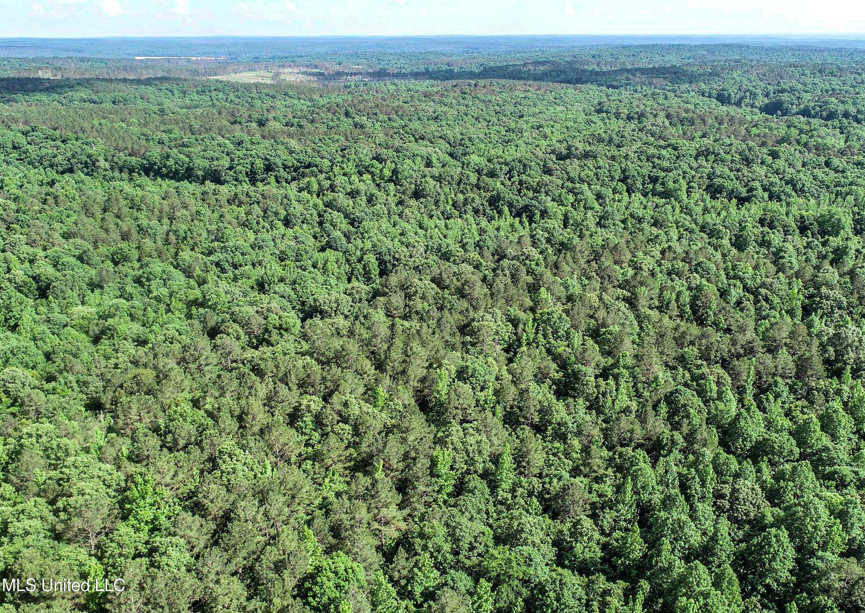 Om Cox Road Potts Camp, MS 38659 - Photo 23 of 111 5bentonz13