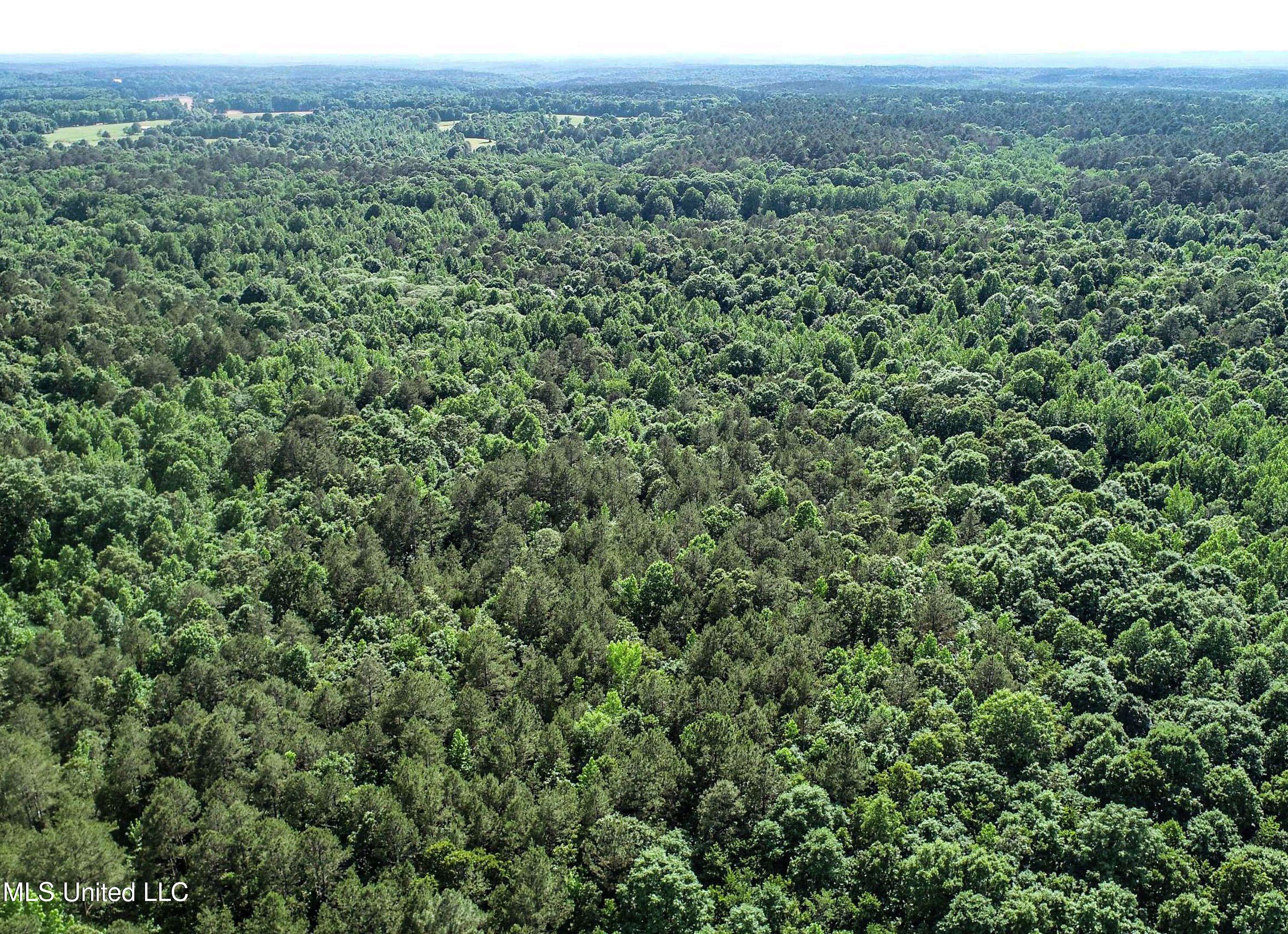 Om Cox Road Potts Camp, MS 38659 - Photo 24 of 111 5bentonz15