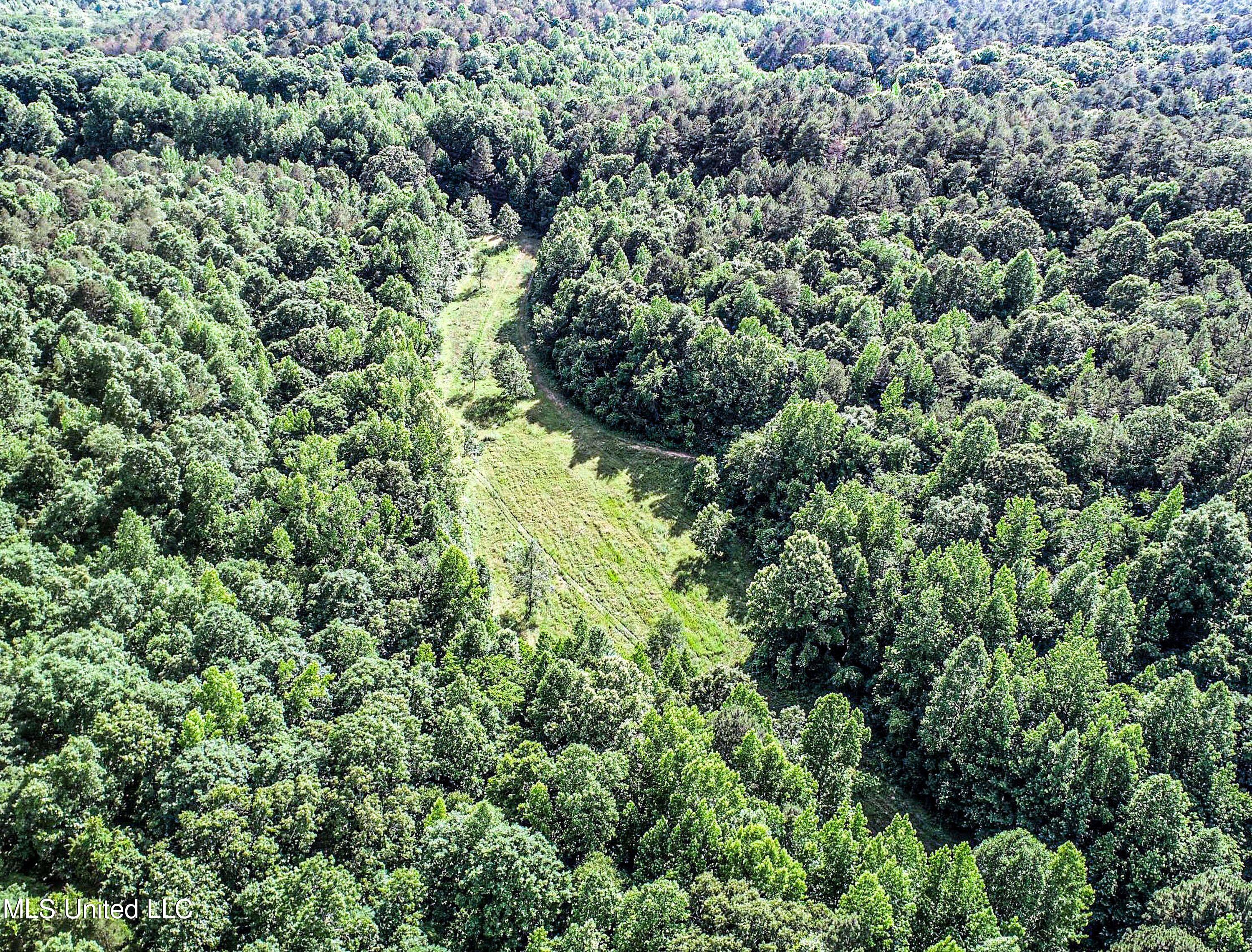 Om Cox Road Potts Camp, MS 38659 - Photo 35 of 111 5bentonz26