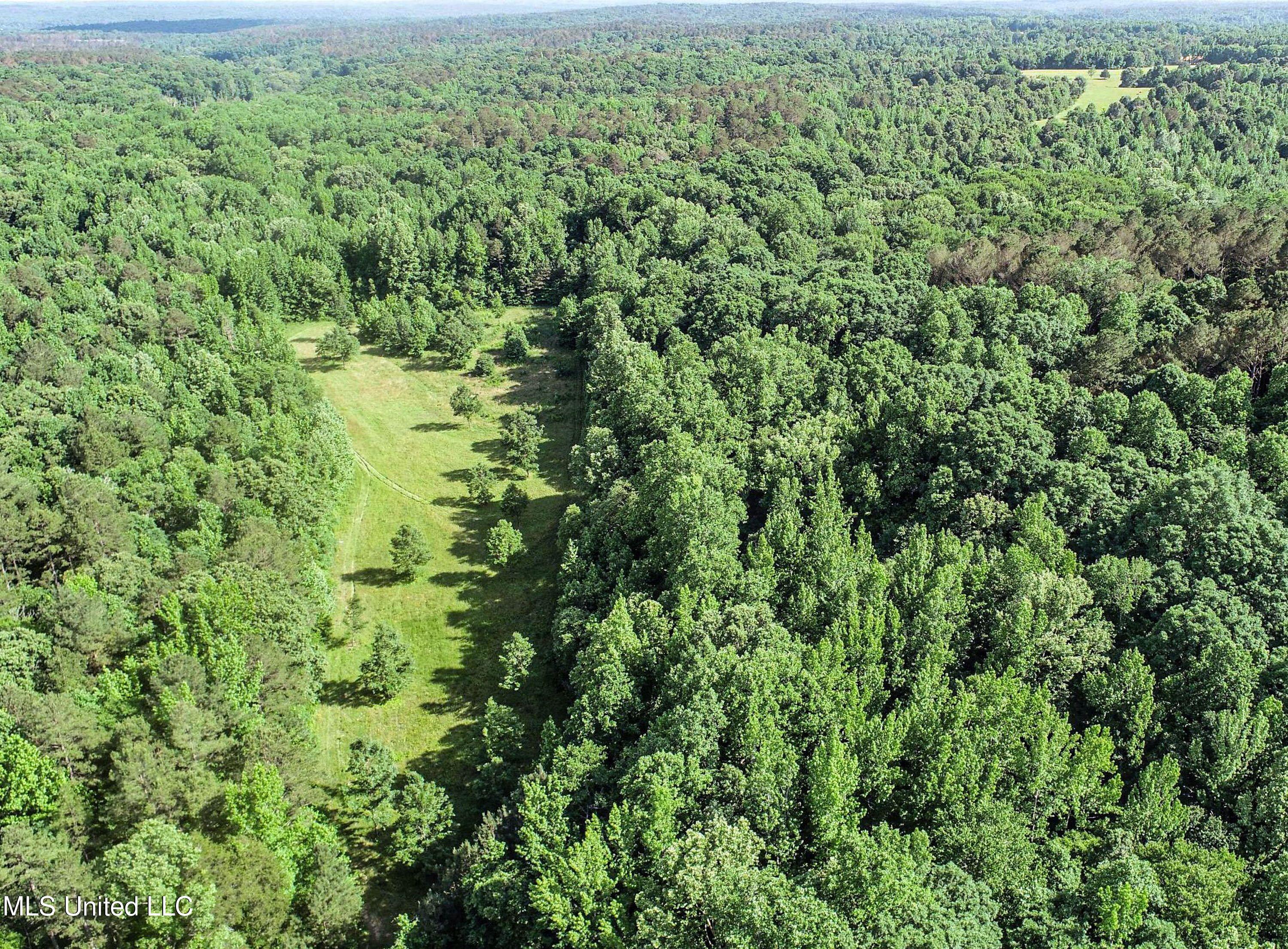 Om Cox Road Potts Camp, MS 38659 - Photo 45 of 111 5bentonz36
