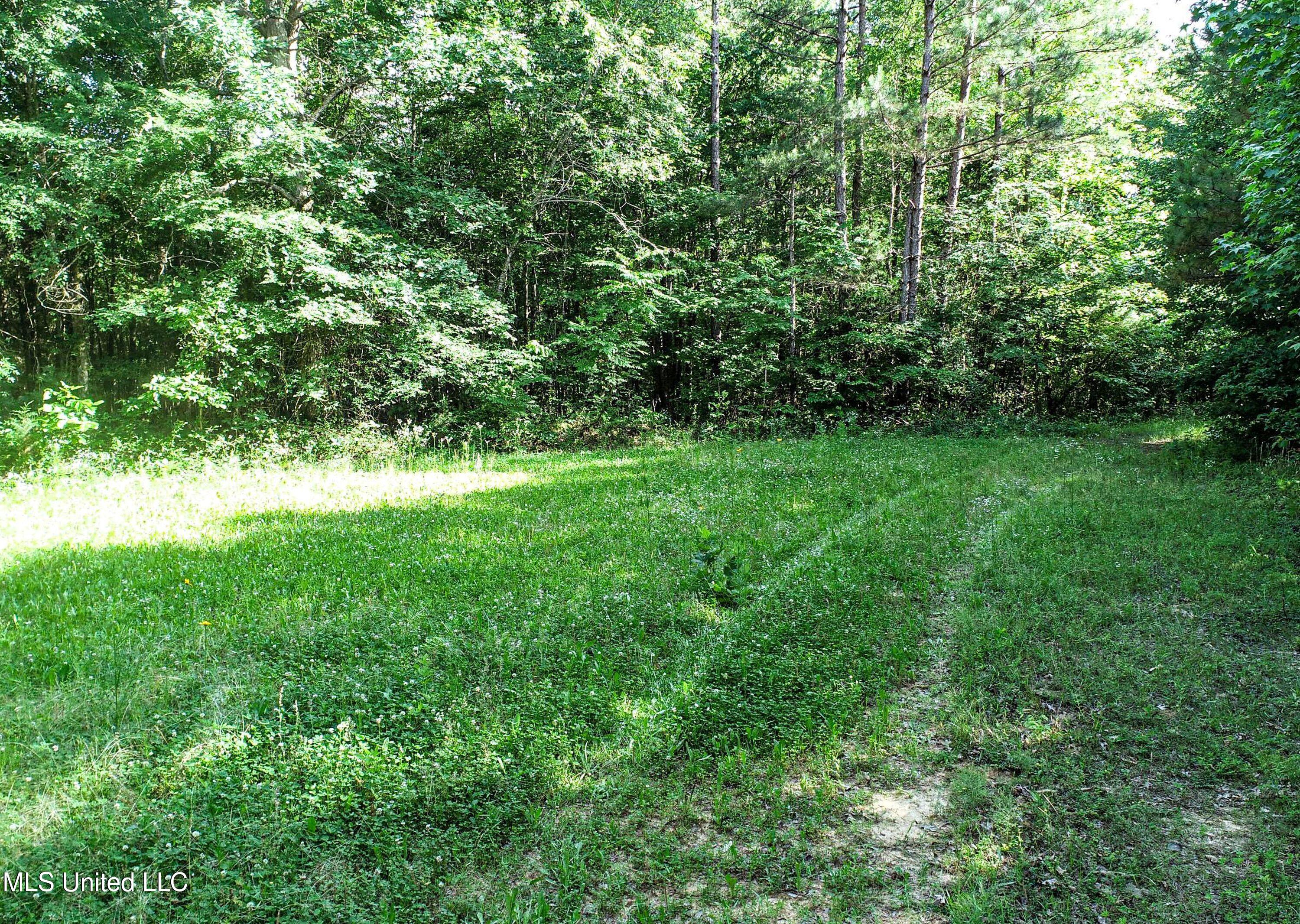 Om Cox Road Potts Camp, MS 38659 - Photo 56 of 111 5bentonz46