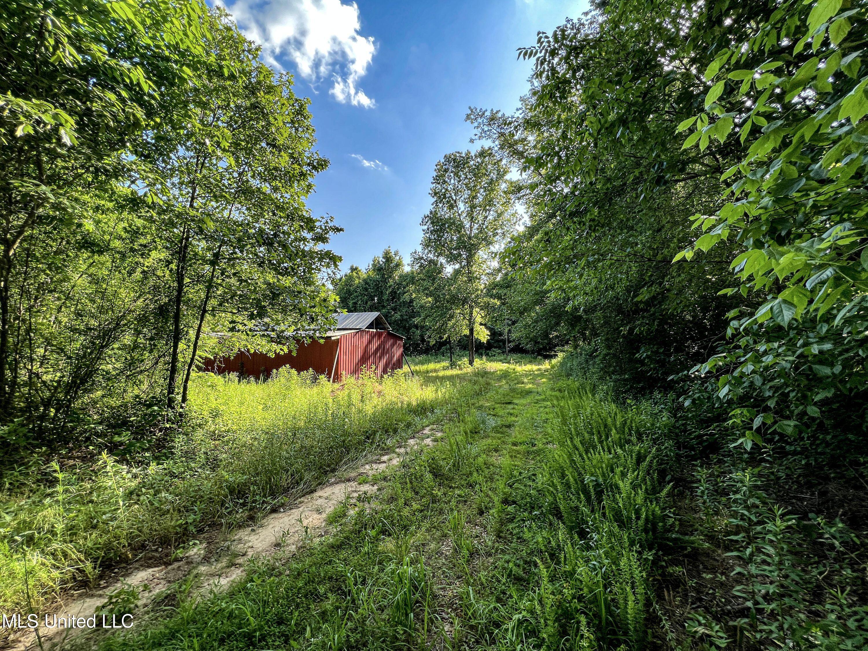 Om Cox Road Potts Camp, MS 38659 - Photo 60 of 111 benton1d