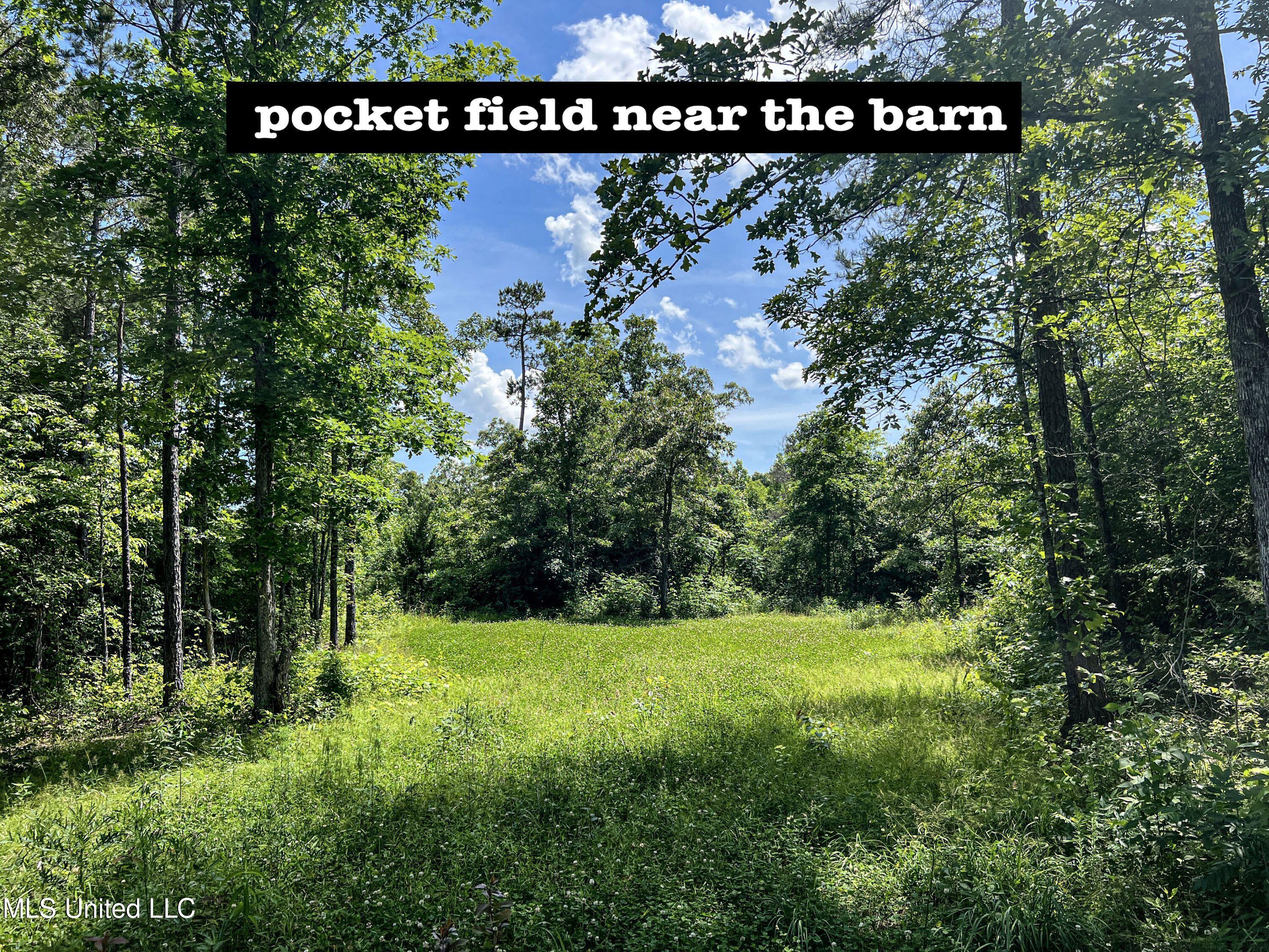 Om Cox Road Potts Camp, MS 38659 - Photo 61 of 111 benton3a