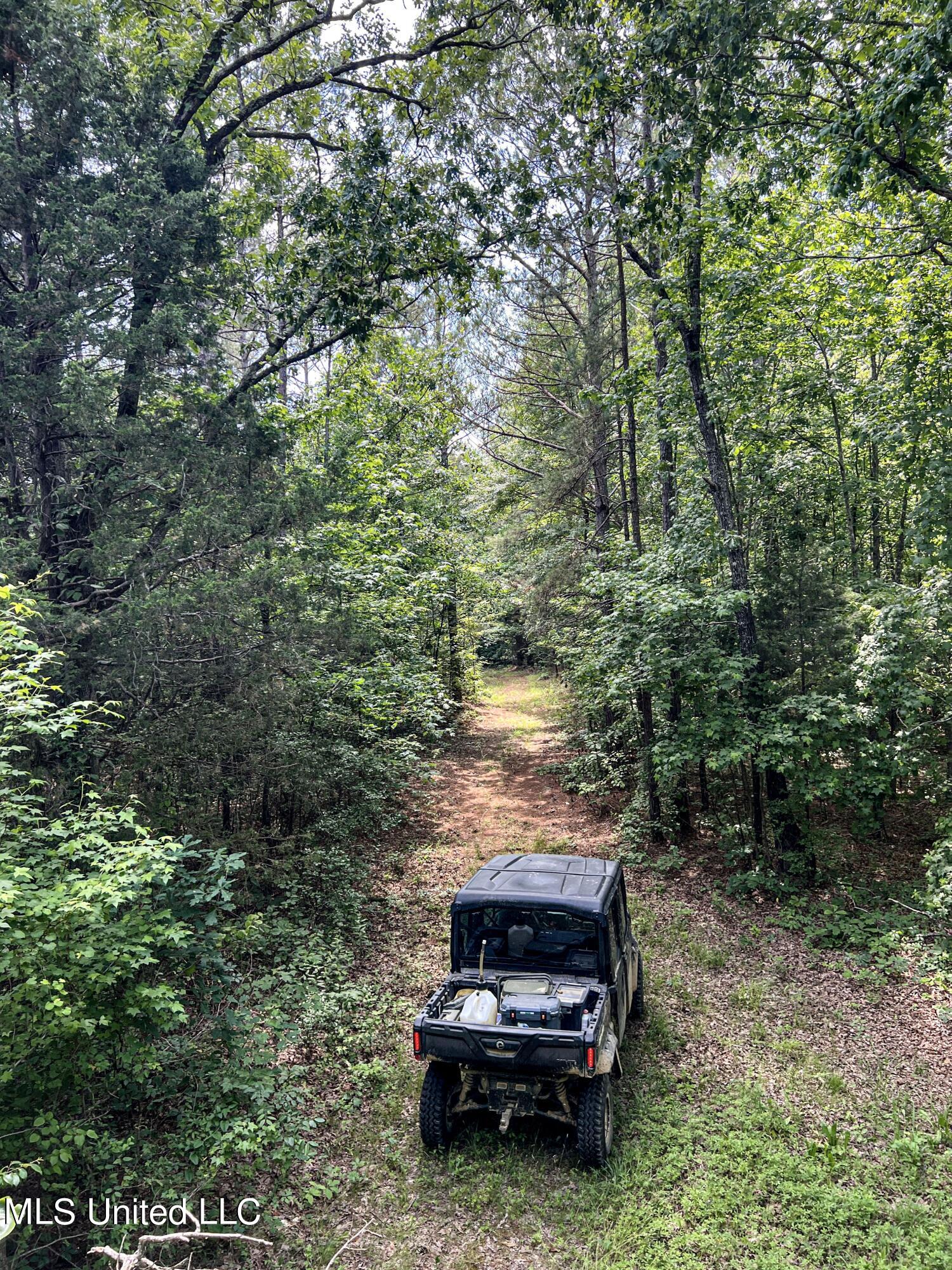 Om Cox Road Potts Camp, MS 38659 - Photo 64 of 111 benton12
