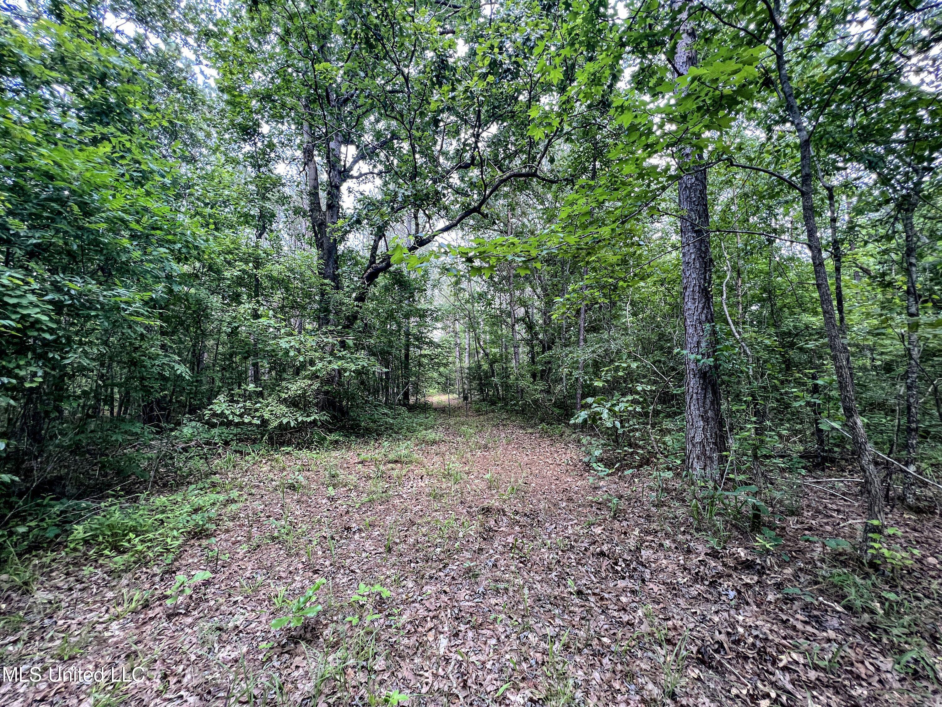 Om Cox Road Potts Camp, MS 38659 - Photo 66 of 111 benton16