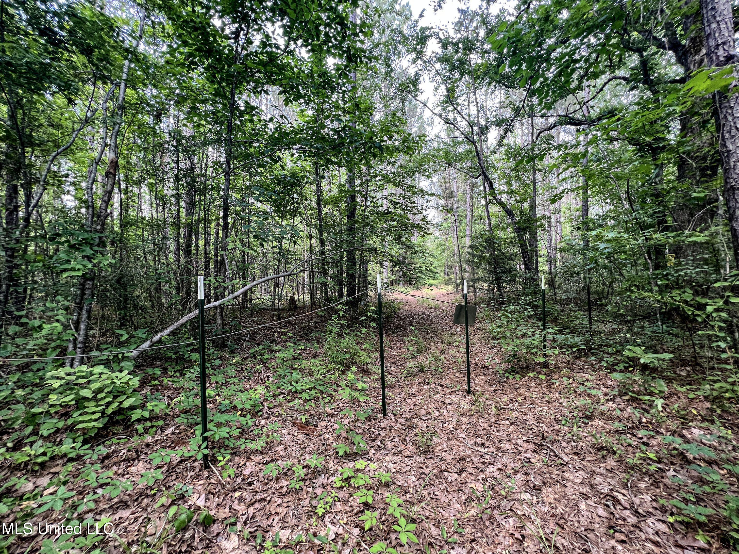 Om Cox Road Potts Camp, MS 38659 - Photo 67 of 111 benton17