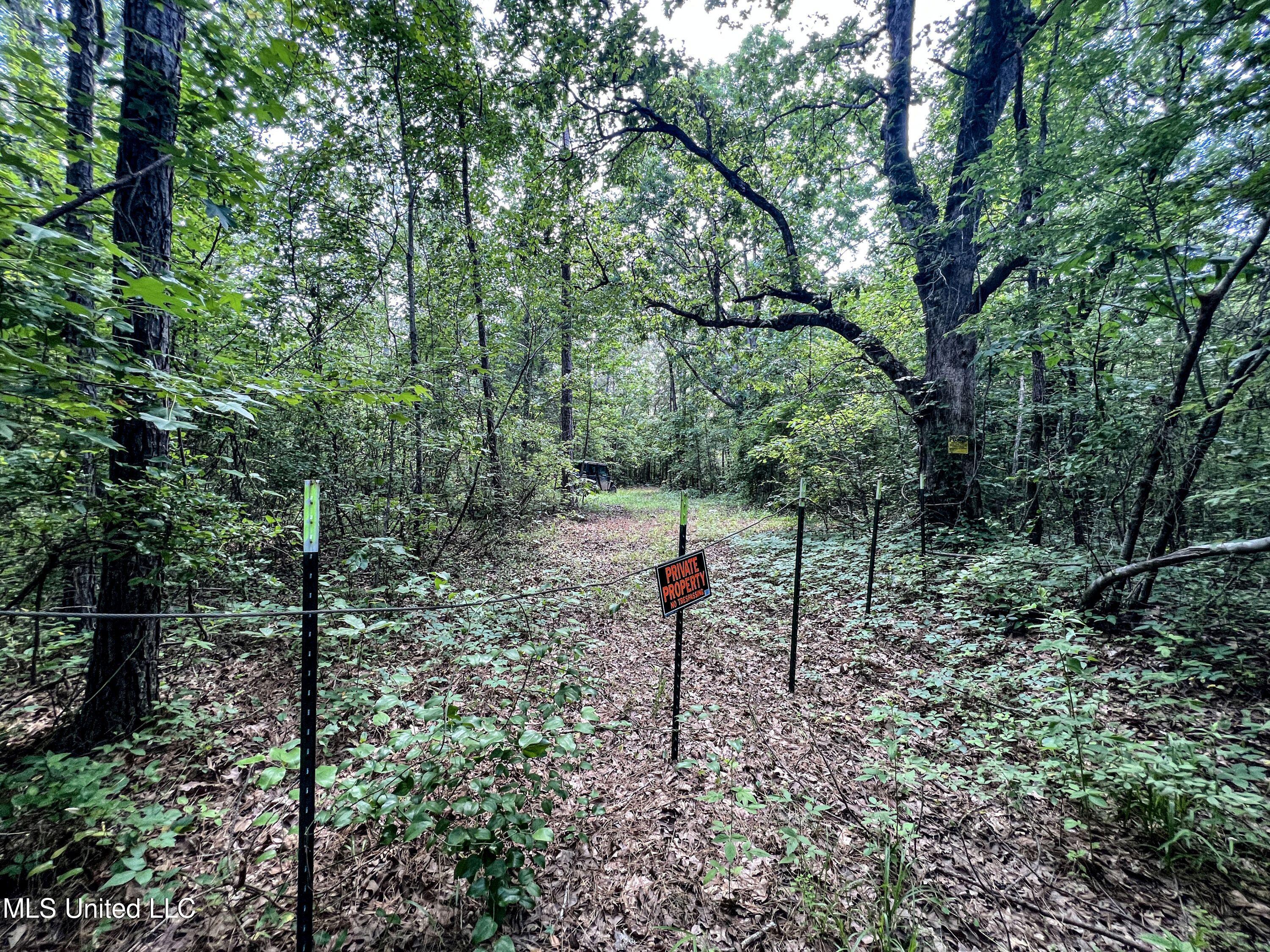 Om Cox Road Potts Camp, MS 38659 - Photo 68 of 111 benton18