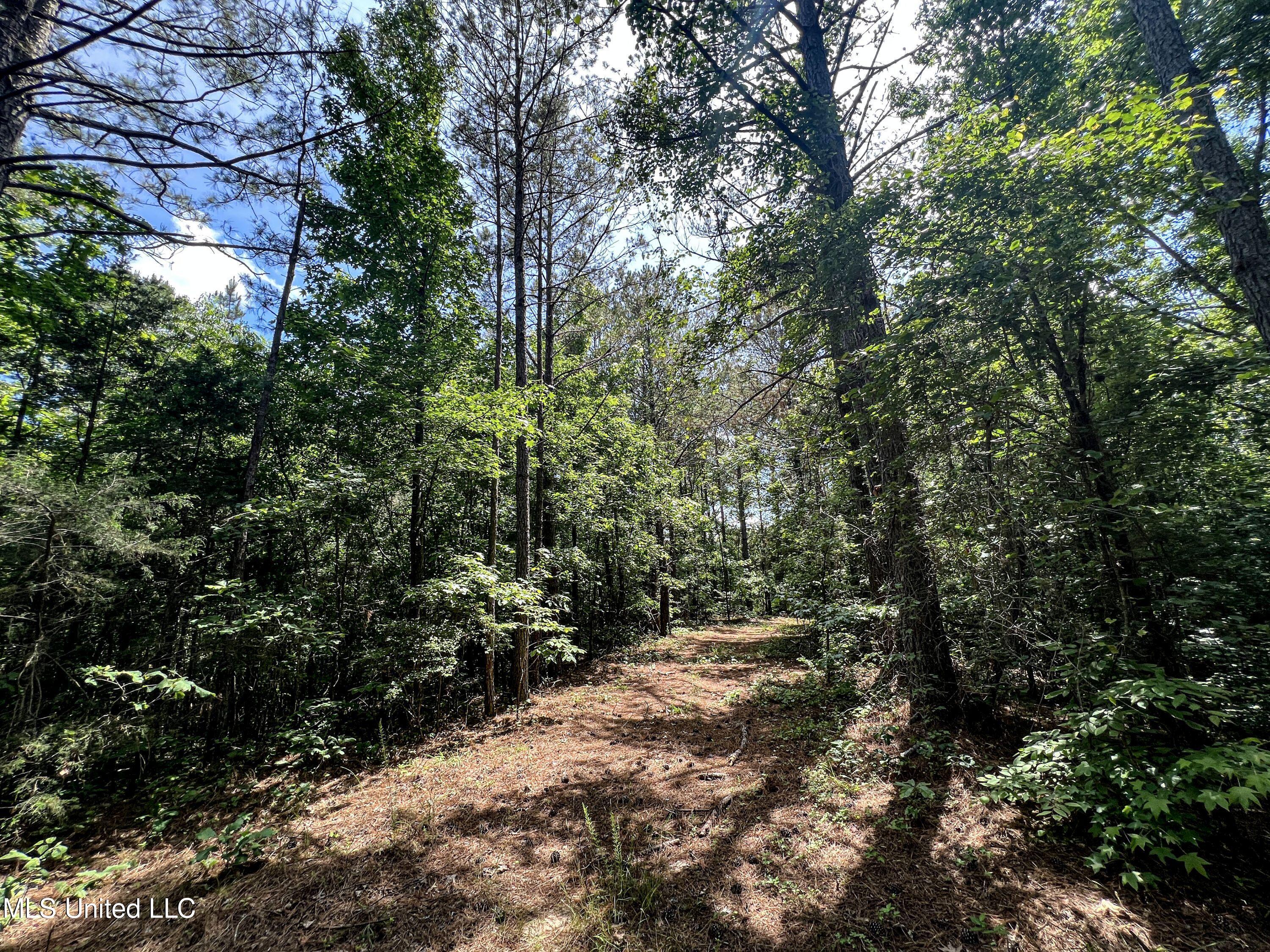 Om Cox Road Potts Camp, MS 38659 - Photo 69 of 111 benton19