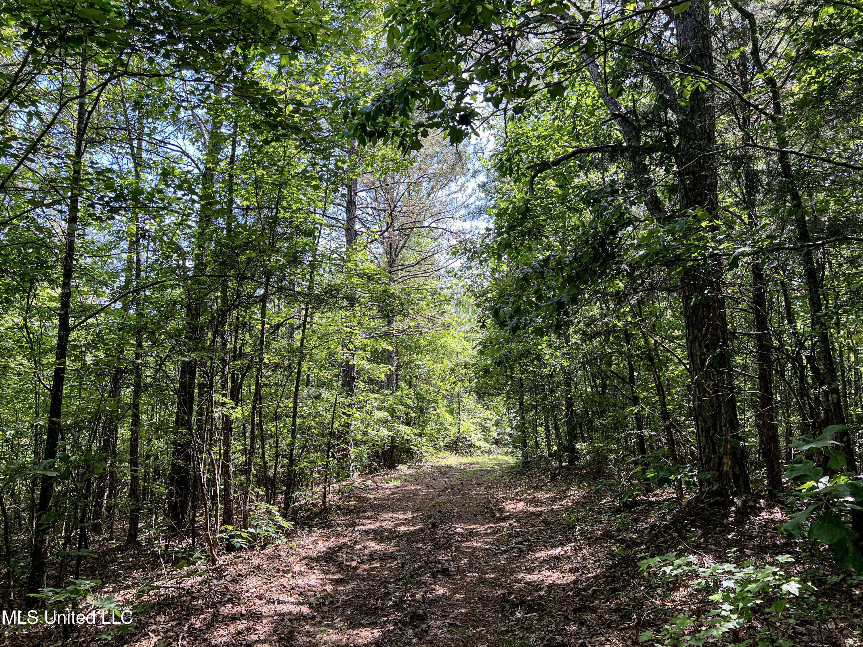 Om Cox Road Potts Camp, MS 38659 - Photo 70 of 111 benton20