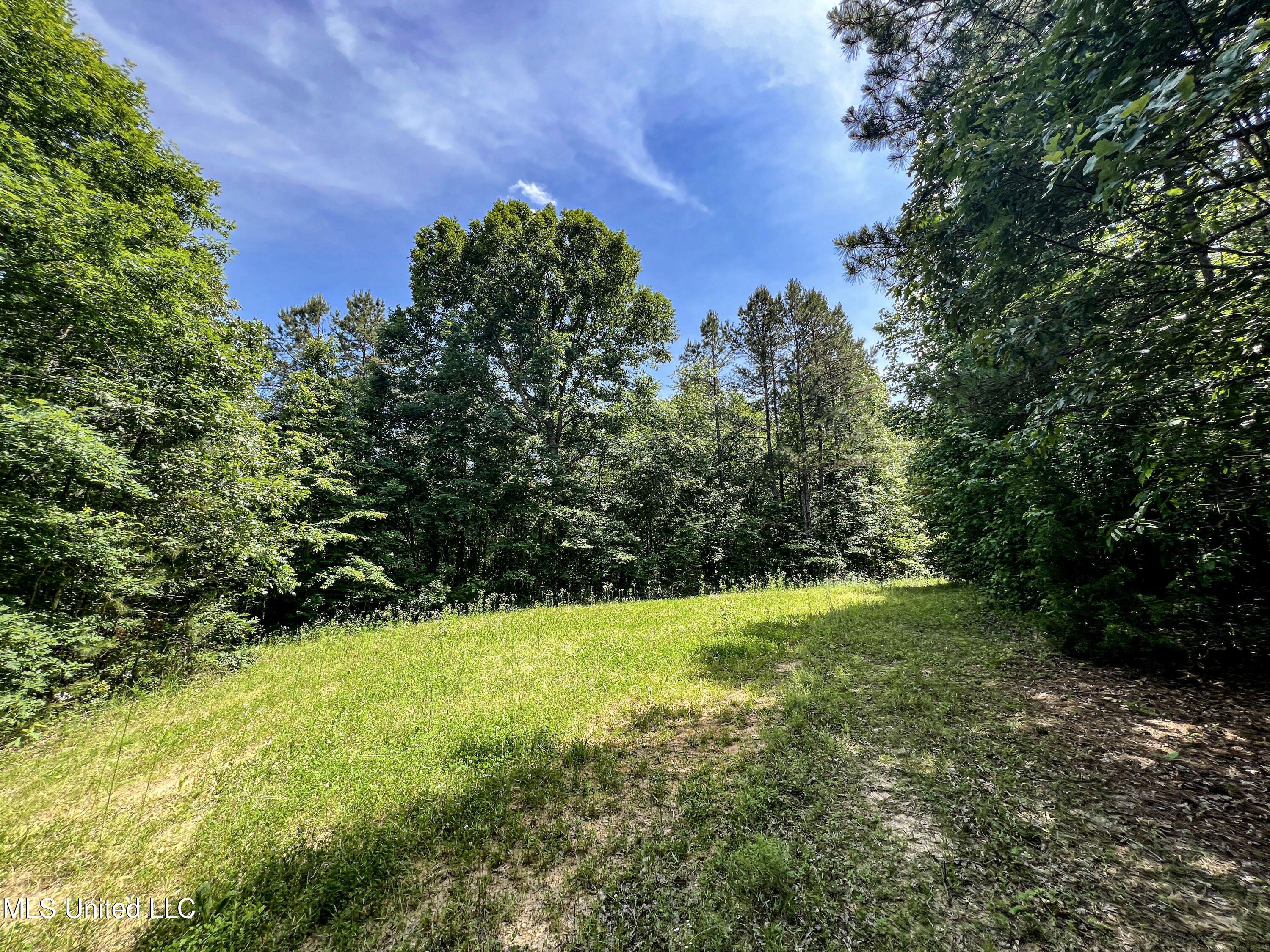 Om Cox Road Potts Camp, MS 38659 - Photo 71 of 111 benton21