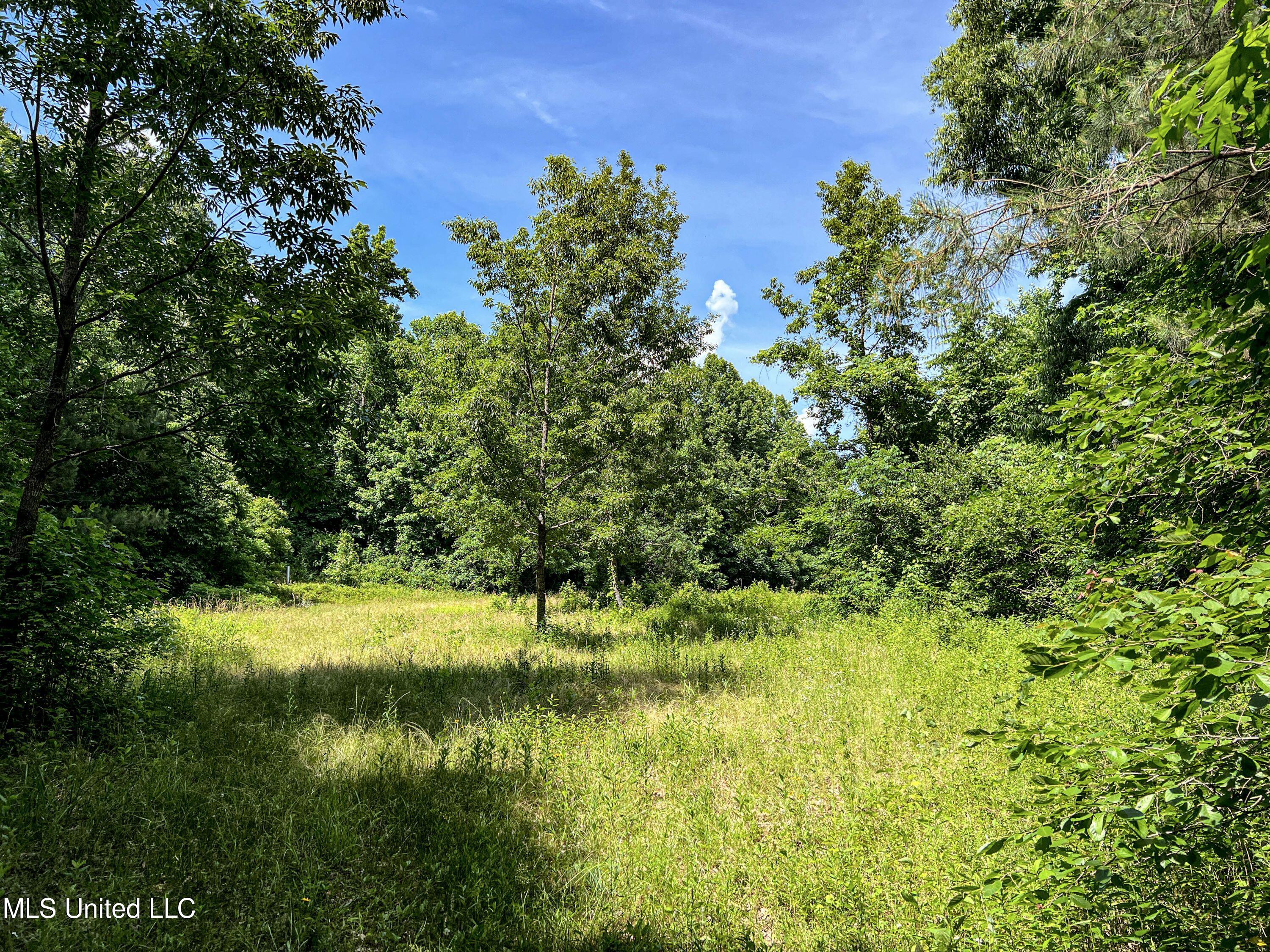 Om Cox Road Potts Camp, MS 38659 - Photo 72 of 111 benton22