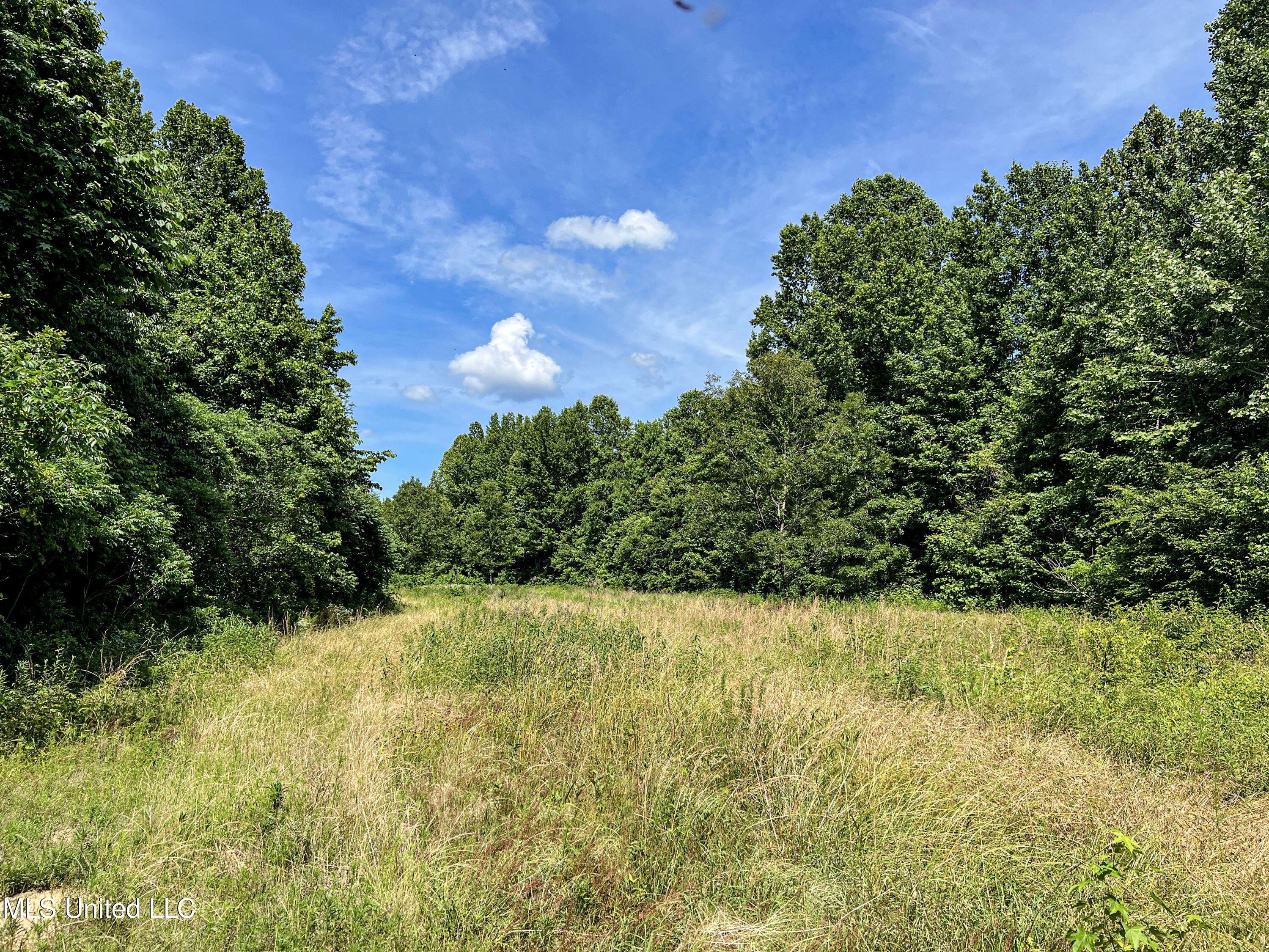 Om Cox Road Potts Camp, MS 38659 - Photo 73 of 111 benton23