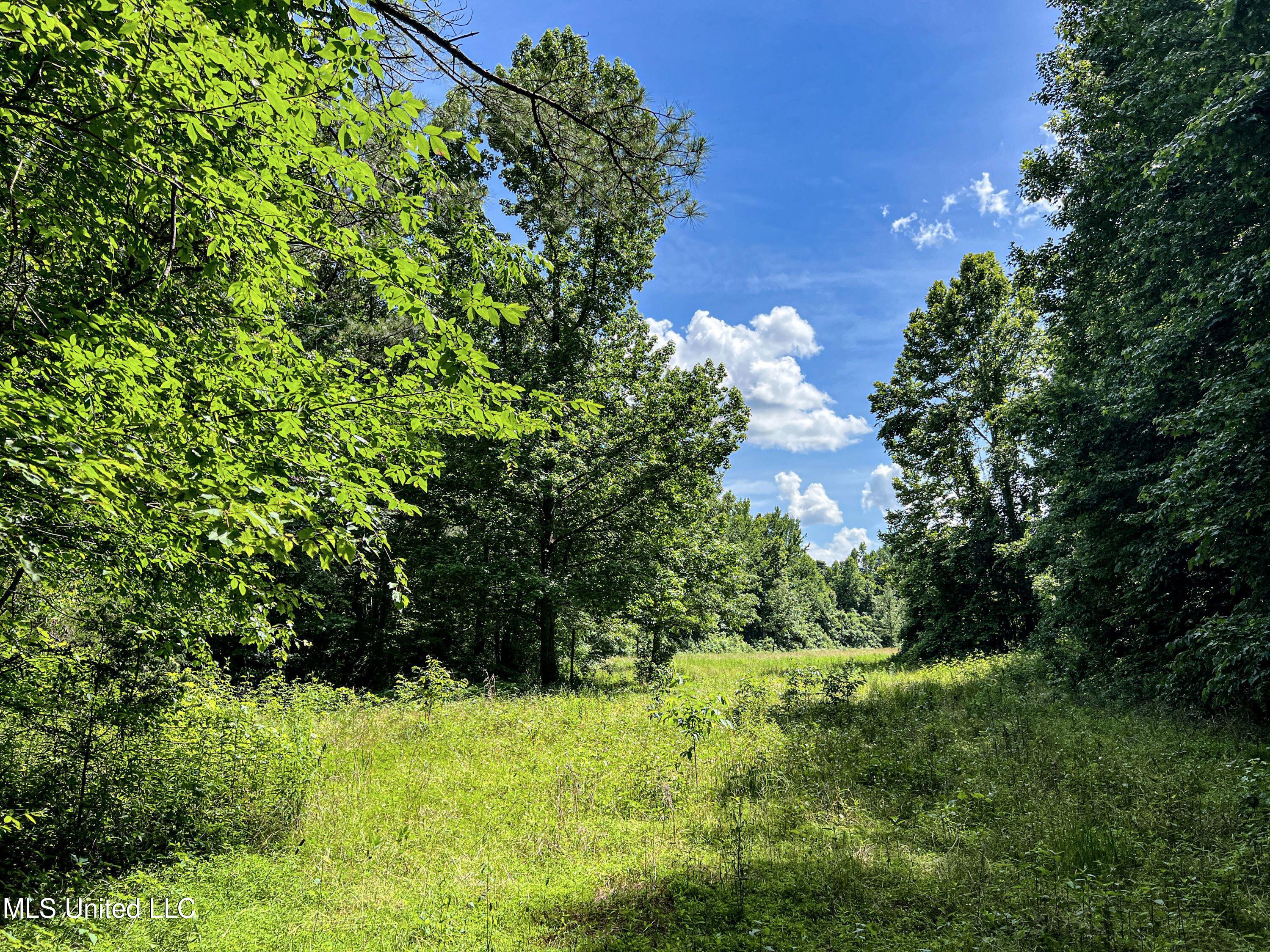 Om Cox Road Potts Camp, MS 38659 - Photo 76 of 111 benton26