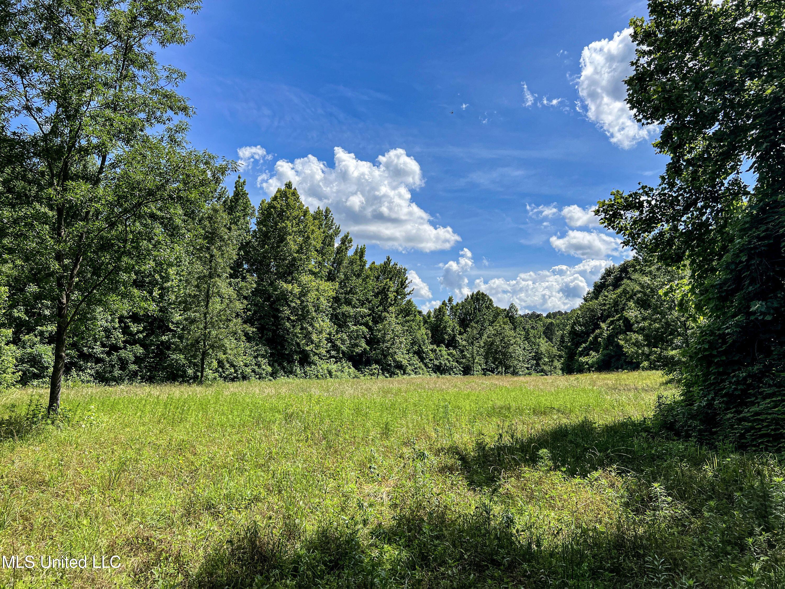 Om Cox Road Potts Camp, MS 38659 - Photo 77 of 111 benton28