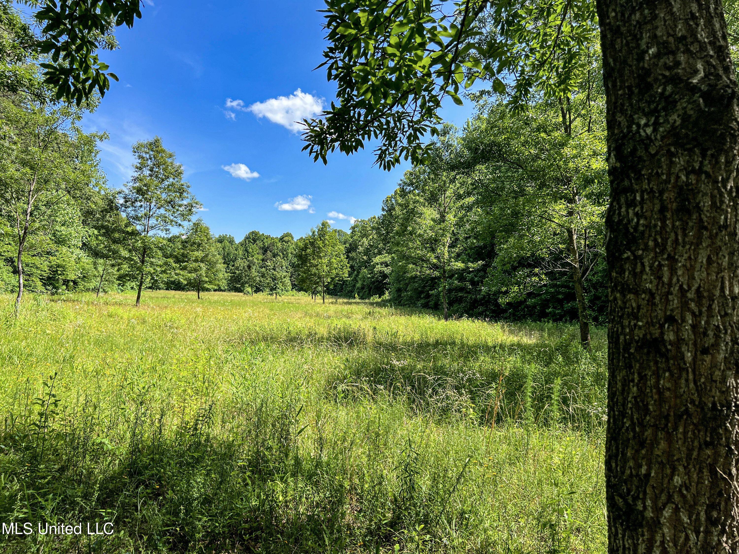 Om Cox Road Potts Camp, MS 38659 - Photo 78 of 111 benton30