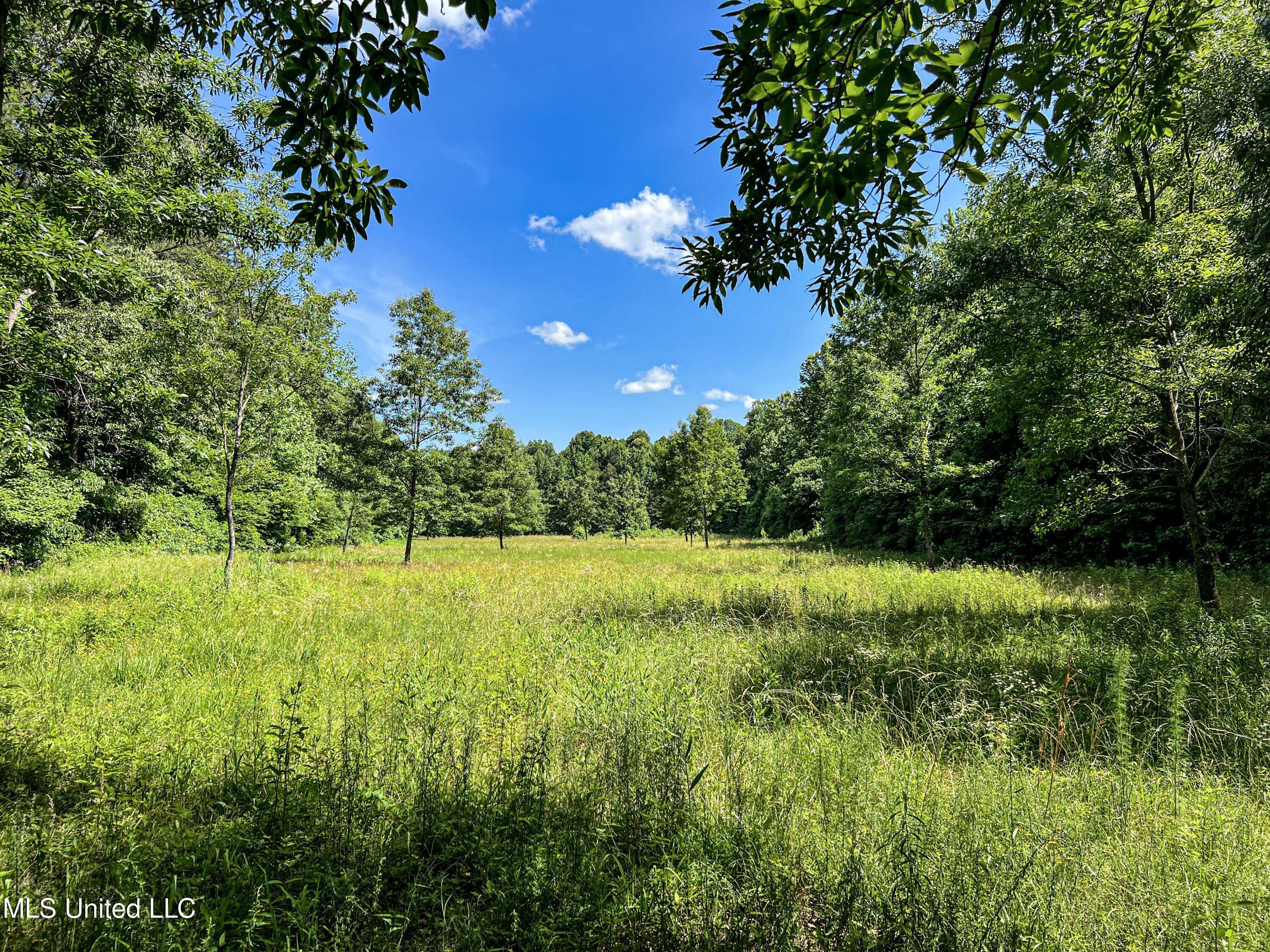 Om Cox Road Potts Camp, MS 38659 - Photo 79 of 111 benton31