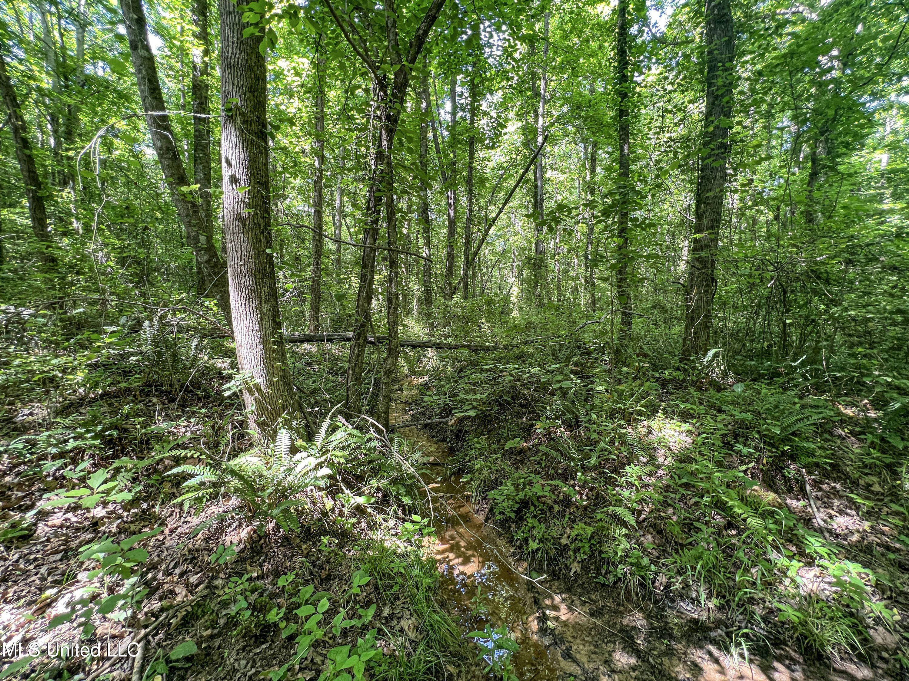 Om Cox Road Potts Camp, MS 38659 - Photo 82 of 111 benton37