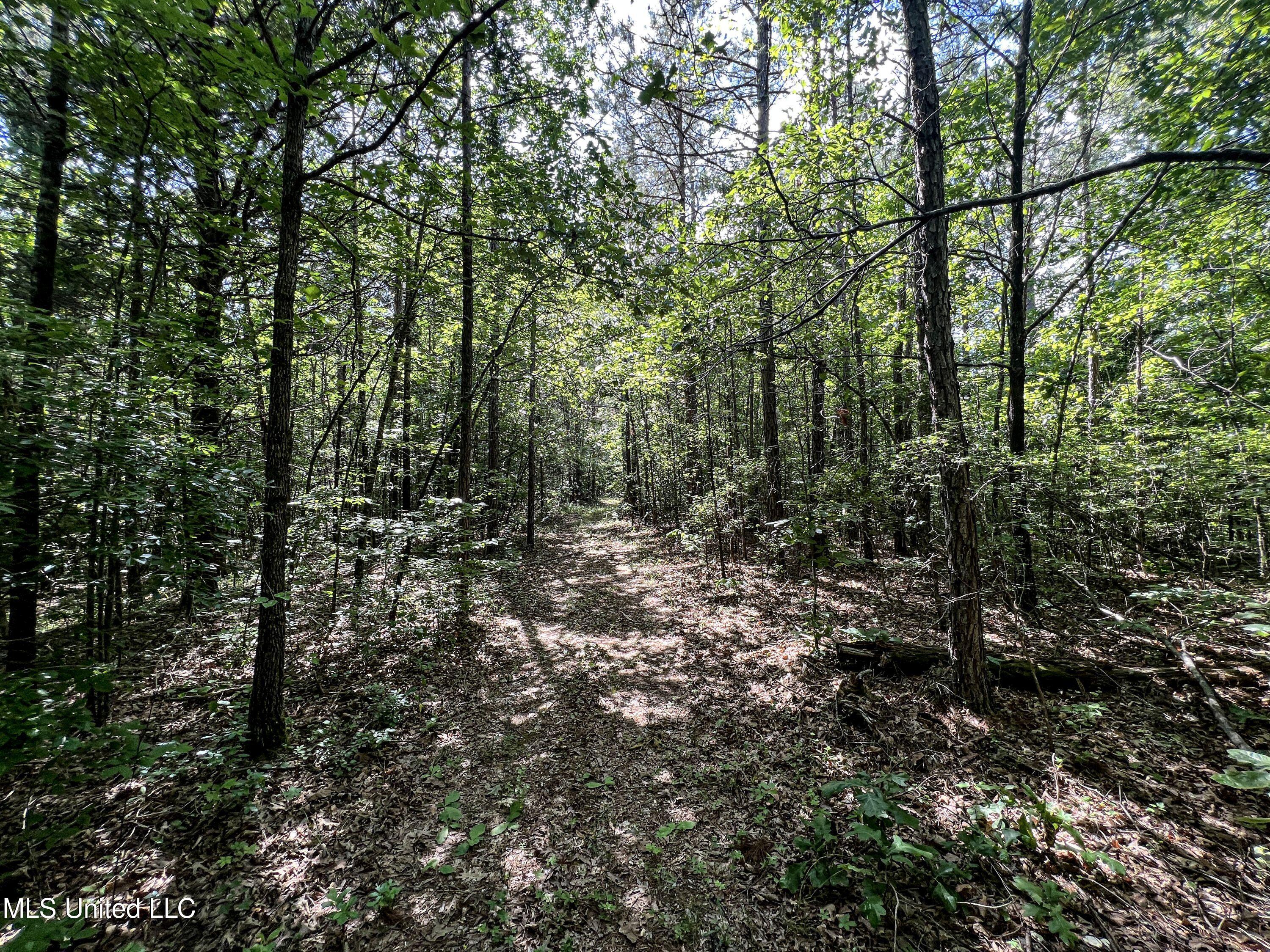 Om Cox Road Potts Camp, MS 38659 - Photo 85 of 111 benton43