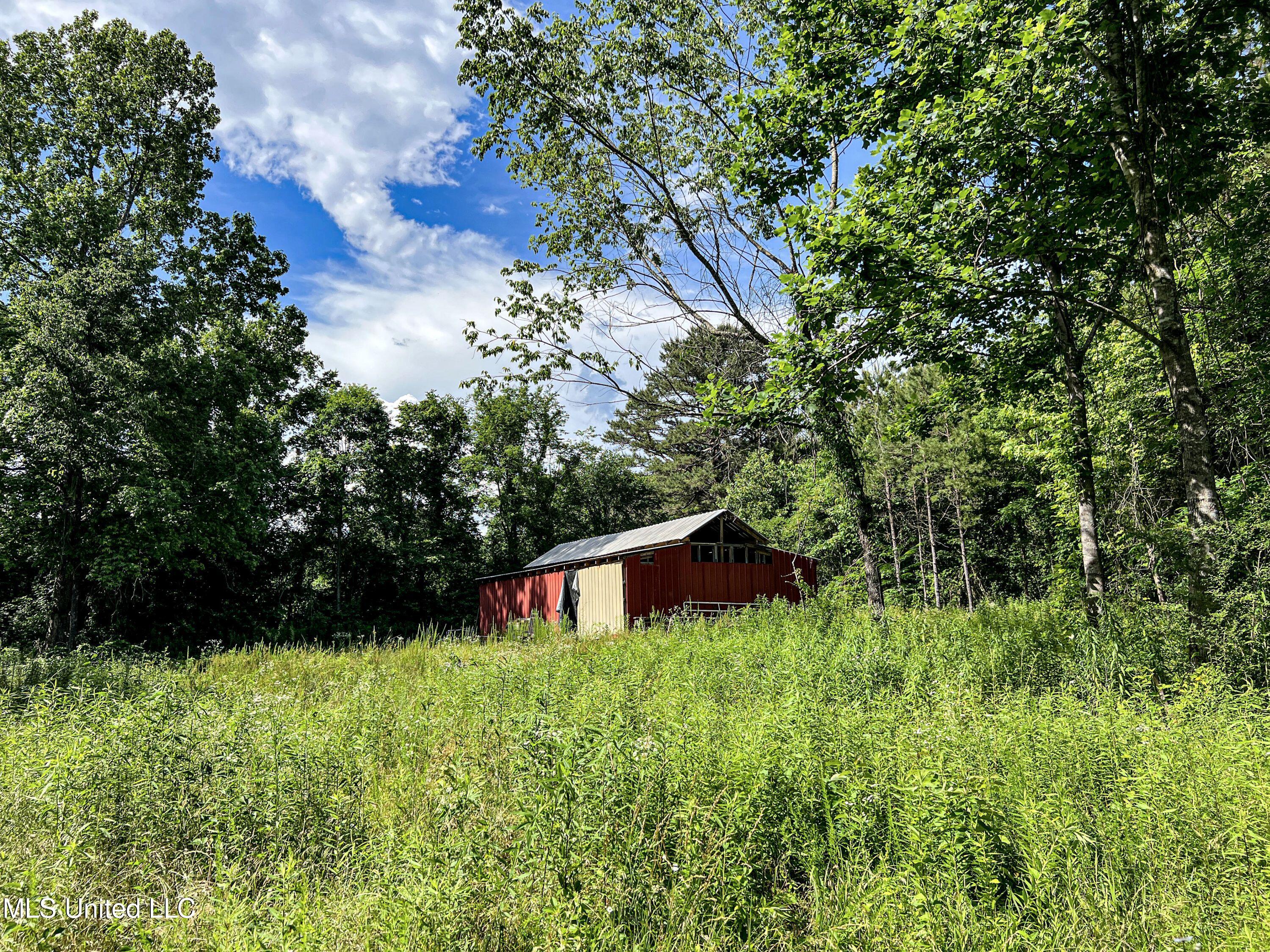 Om Cox Road Potts Camp, MS 38659 - Photo 86 of 111 benton49
