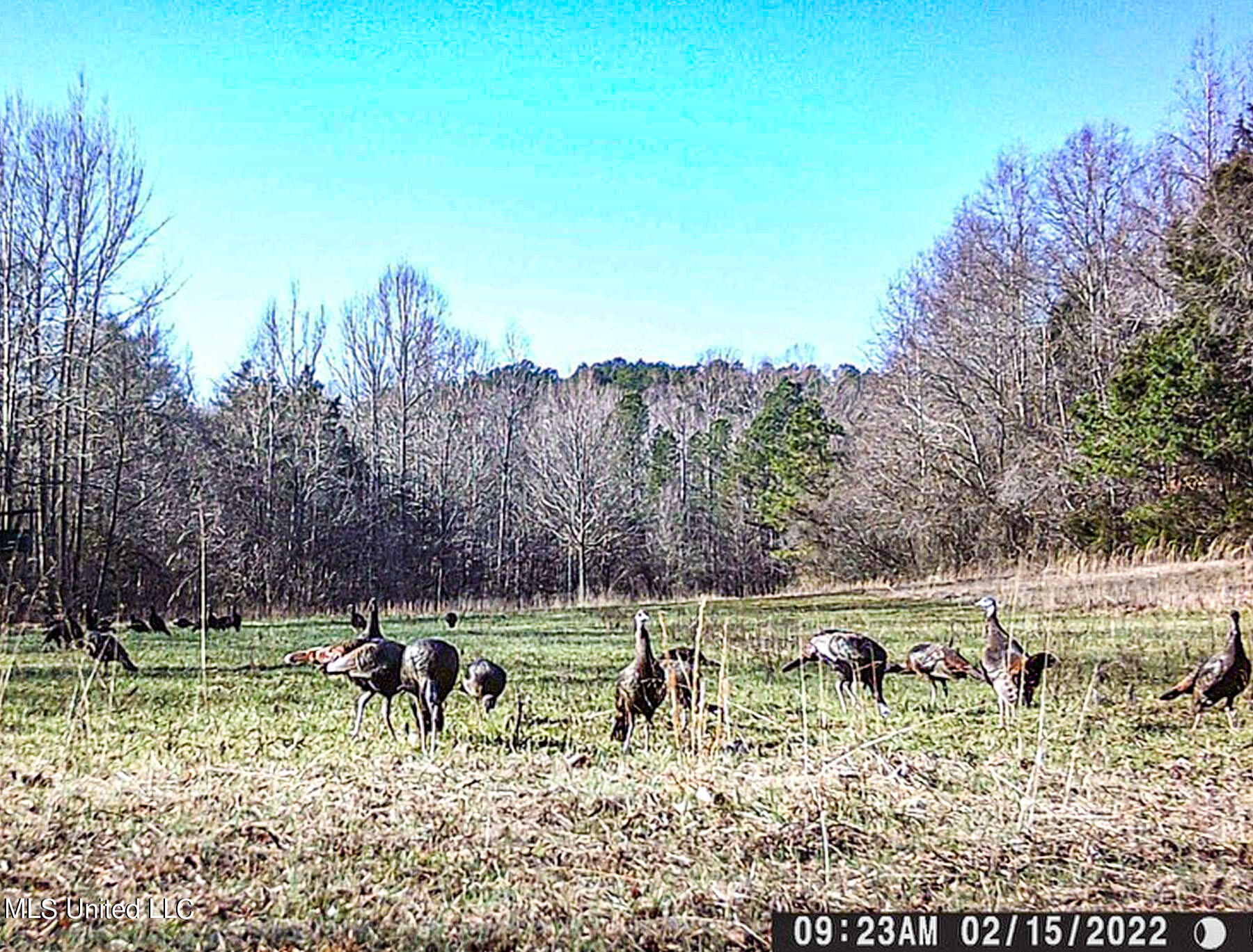 Om Cox Road Potts Camp, MS 38659 - Photo 99 of 111 bentonz55