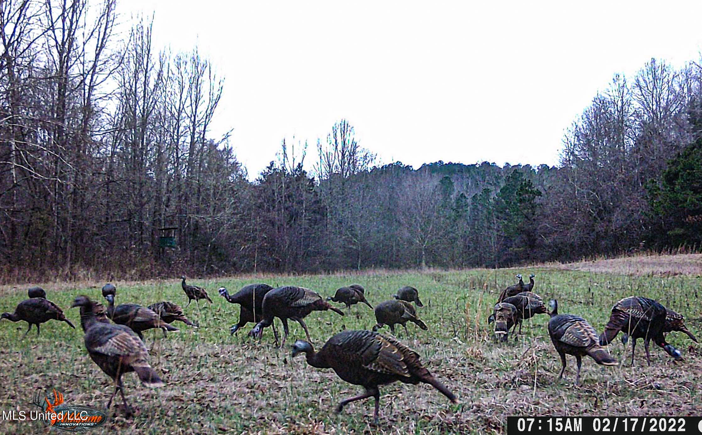 Om Cox Road Potts Camp, MS 38659 - Photo 100 of 111 bentonz56