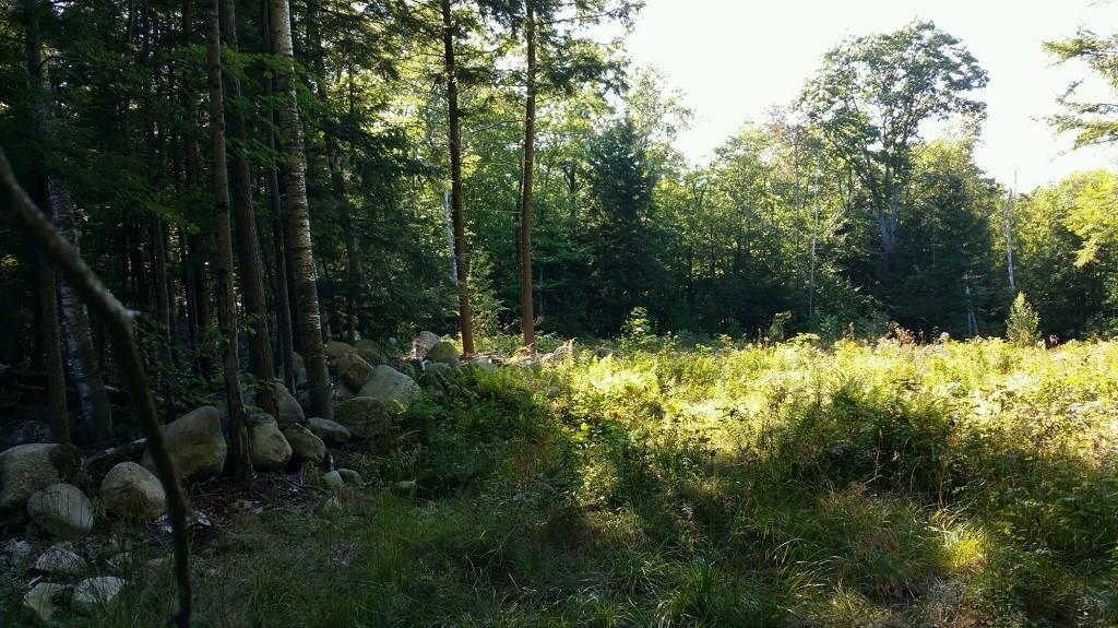 8-l 19-5 Oak Ridge Road Oakland, ME 04963 - Photo 9 of 12 Photo