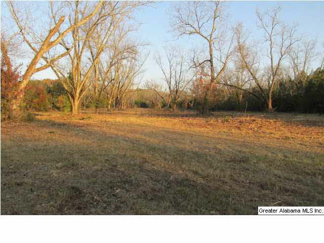 392 4 Mile Church Road, Unit 40 AC Anniston, AL 36206 - Photo 7 of 12