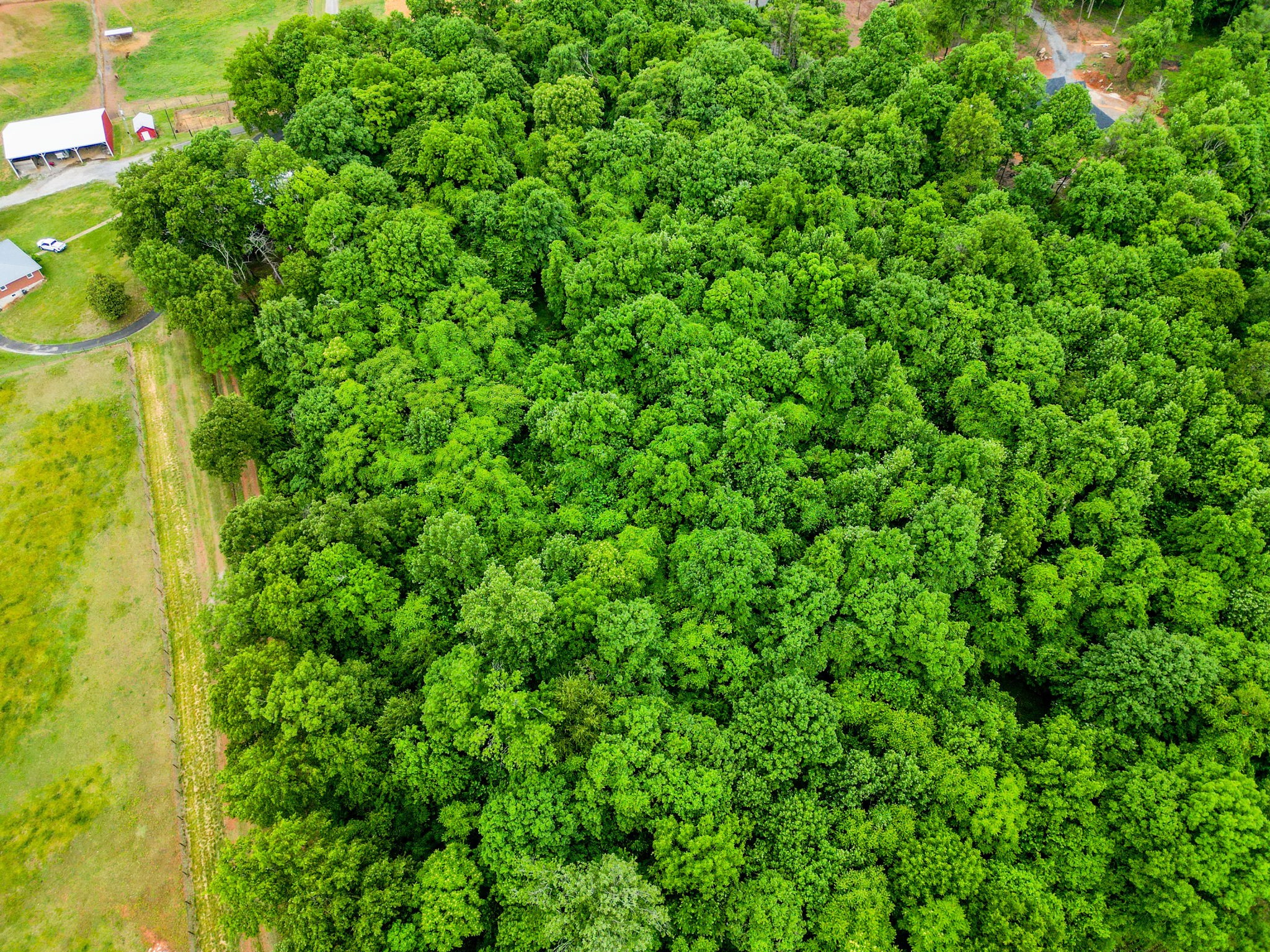 4 J J Bourne Road Adams, TN 37010 - Photo 10 of 13 a view of a lush green forest