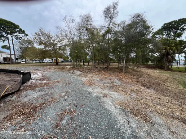 a view of a yard with trees