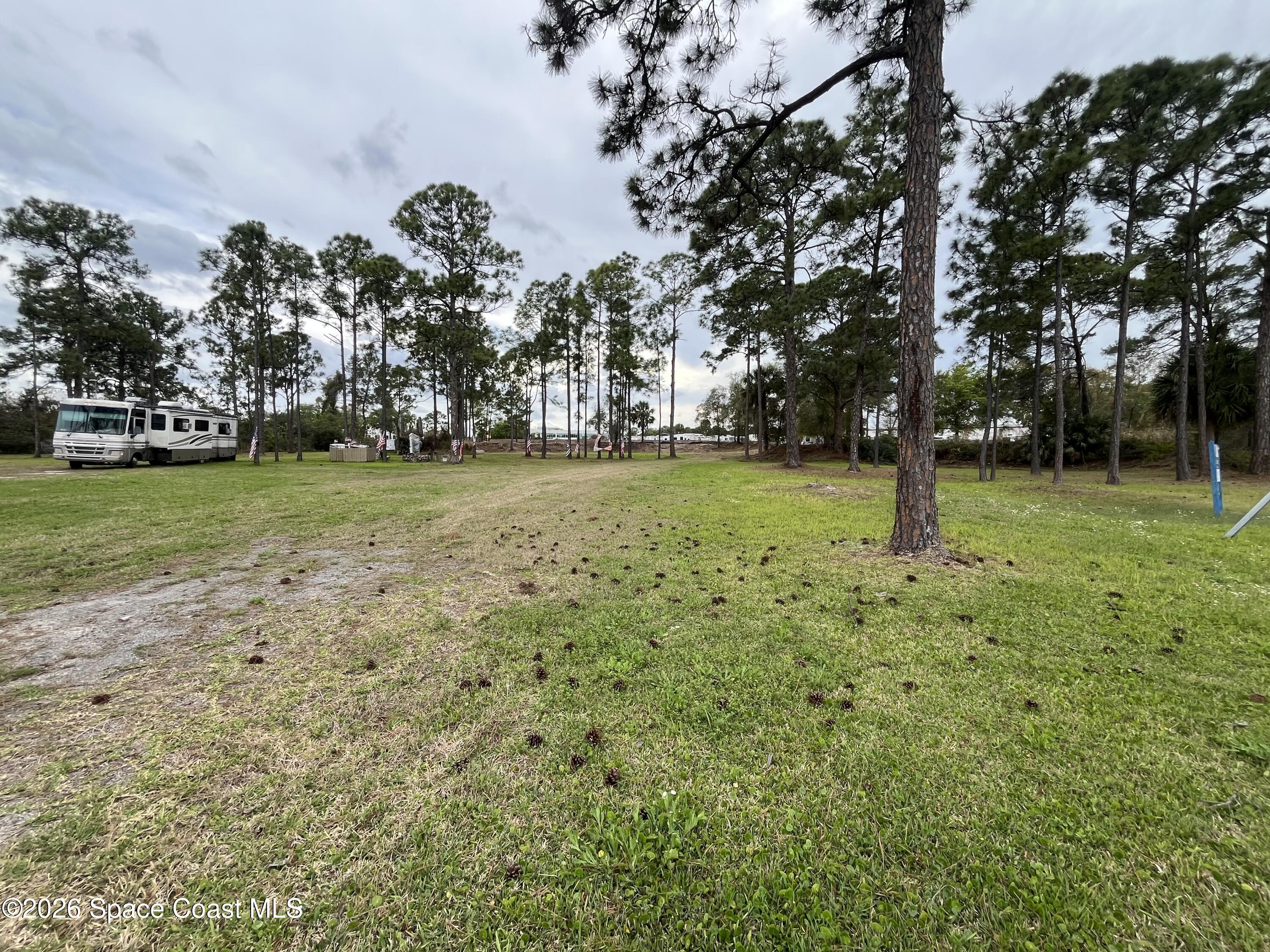 275 Paint Street Rockledge, FL 32955 - Photo 2 of 18 a view of a tree in a yard
